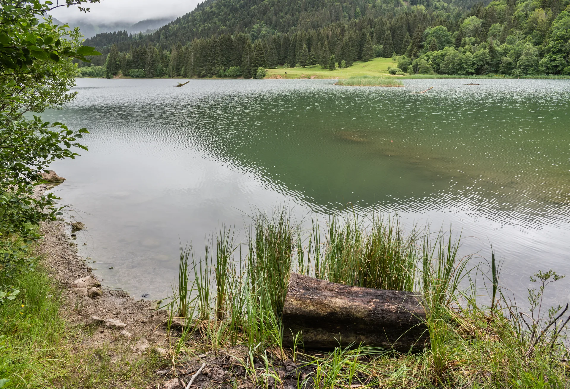 Lac de Vallon à Bellevaux — À 274 m du lac