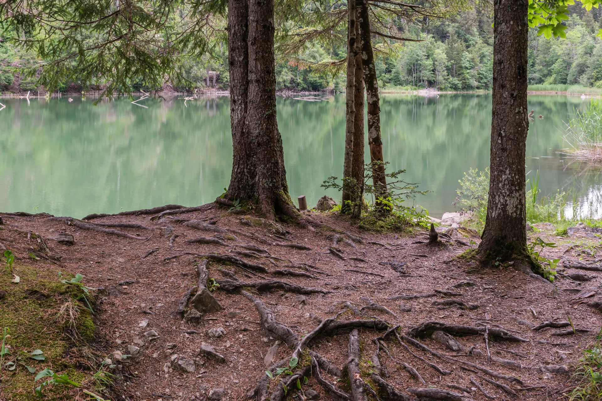 Lac de Vallon à Bellevaux — À 324 m du lac