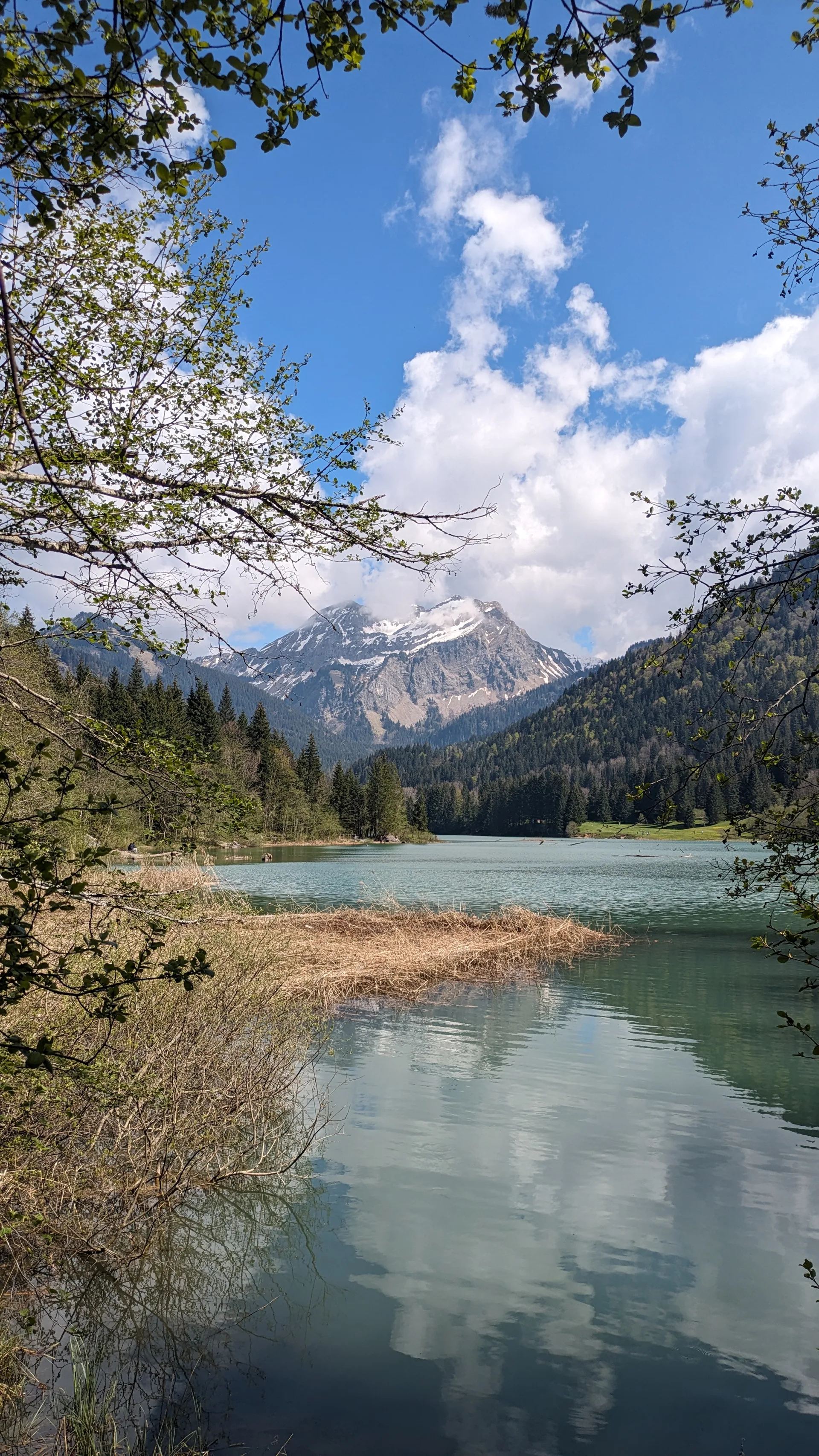 Lac de Vallon à Bellevaux — À 347 m du lac