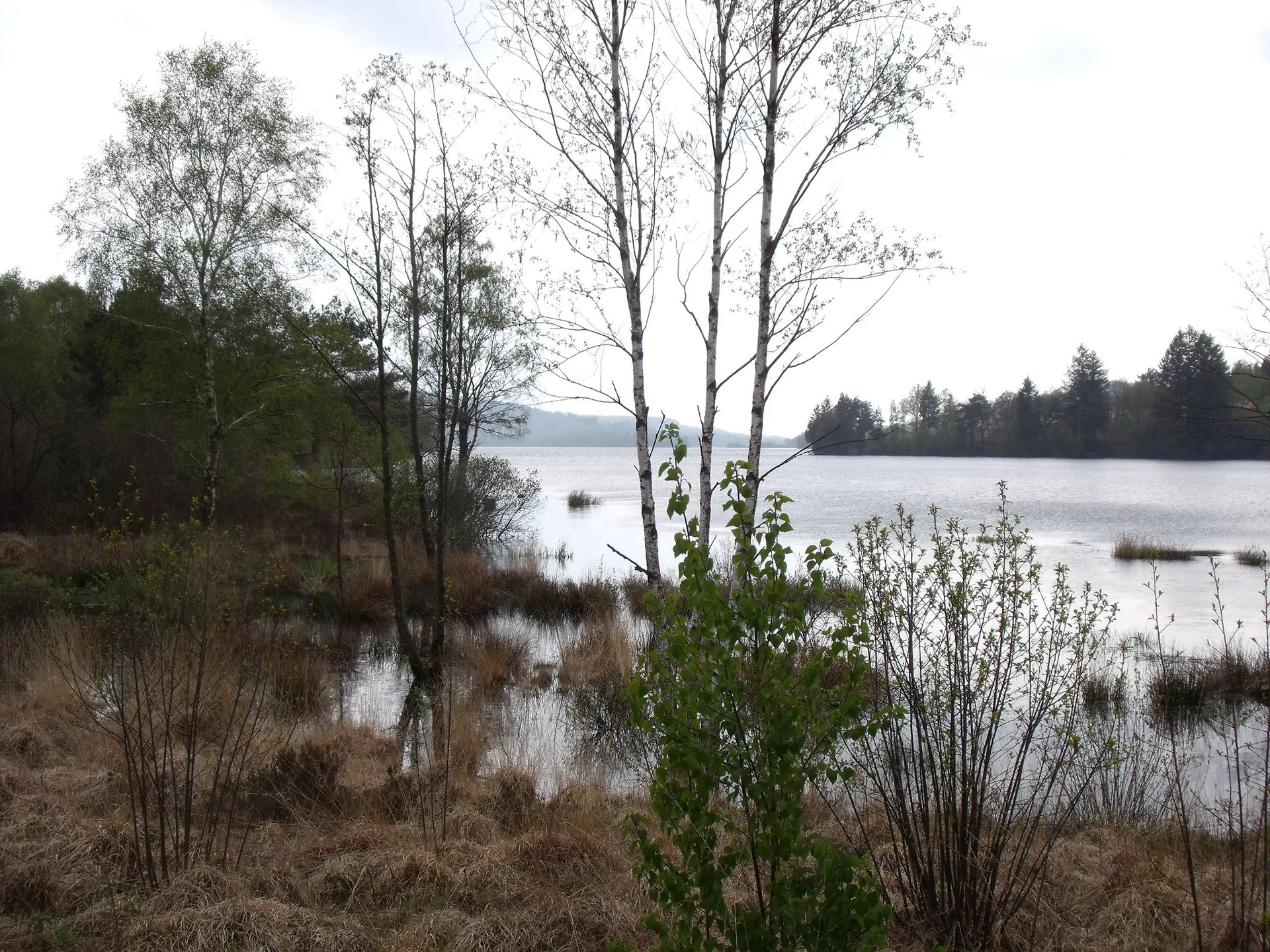 Lac de Vassiviere à Royère-de-Vassivière — À 2,8 km du lac