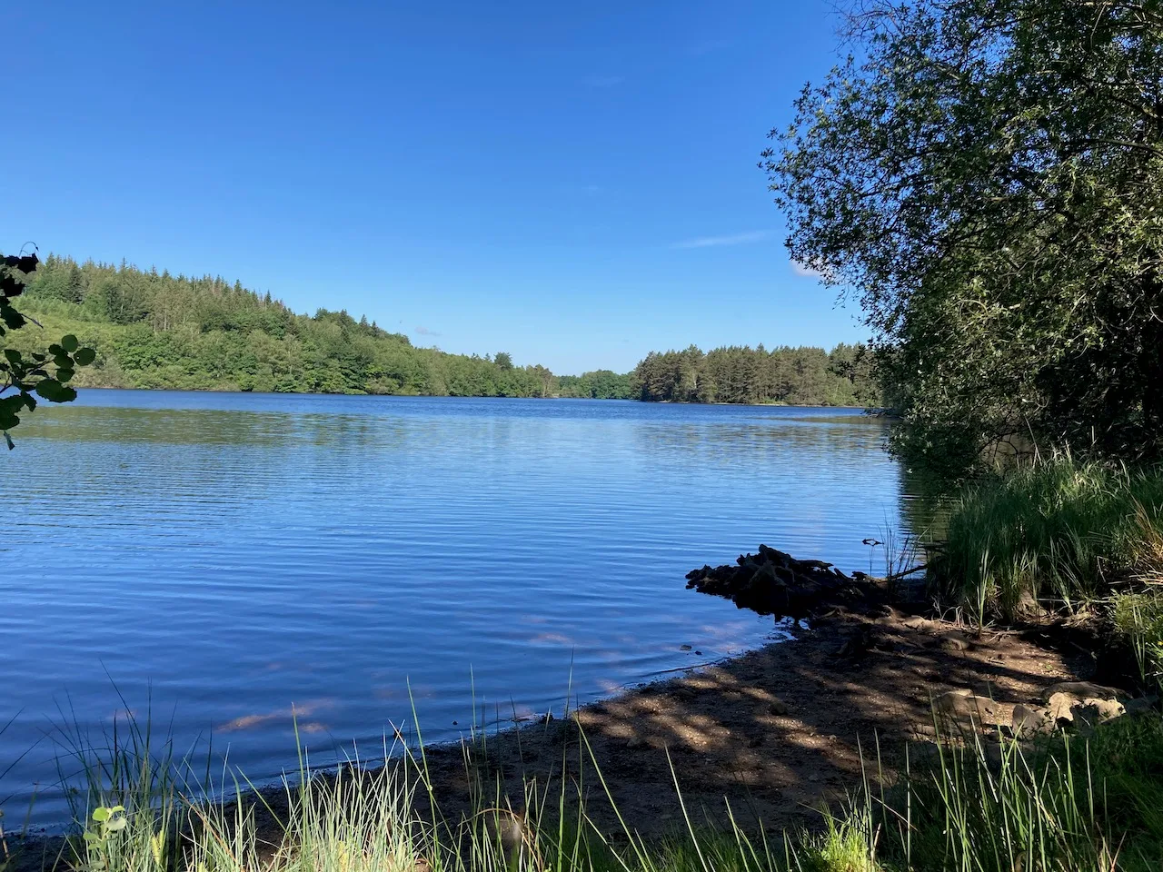 Lac de Vassiviere à Royère-de-Vassivière — À 5,0 km du lac