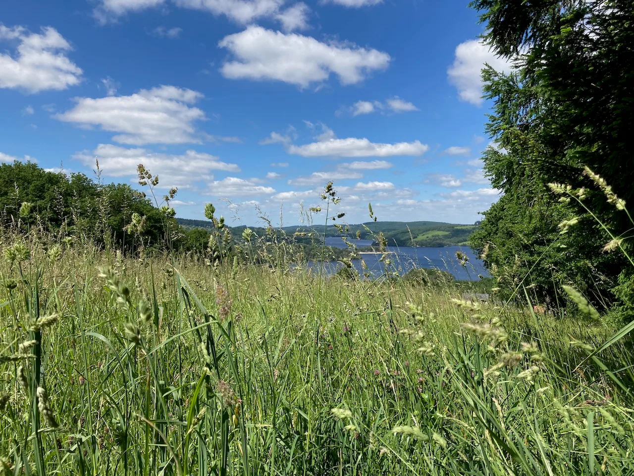 Lac de Vassiviere à Royère-de-Vassivière — À 2,2 km du lac