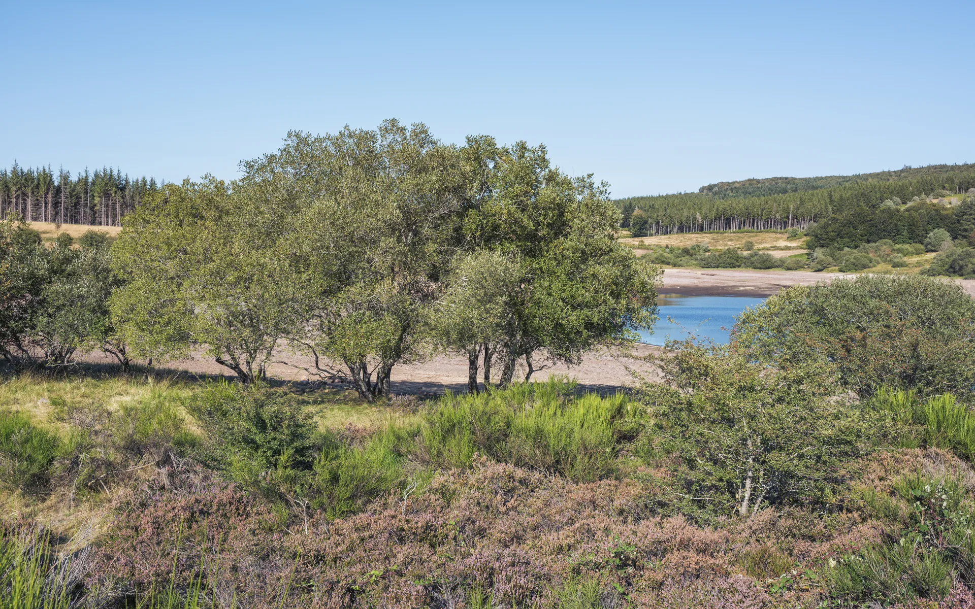 Lac de Vesole à Prémian — À 593 m du lac