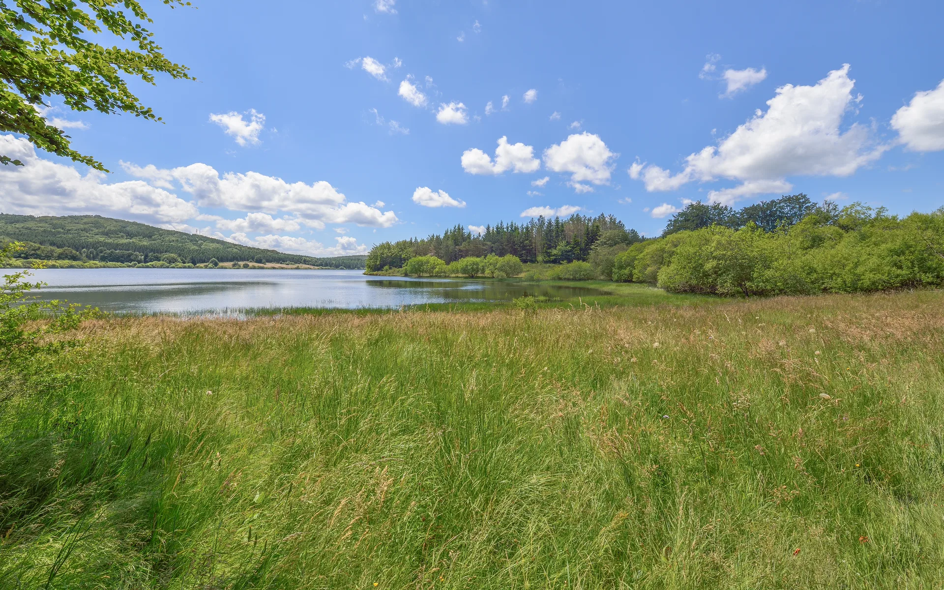 Lac de Vesole à Prémian — À 603 m du lac