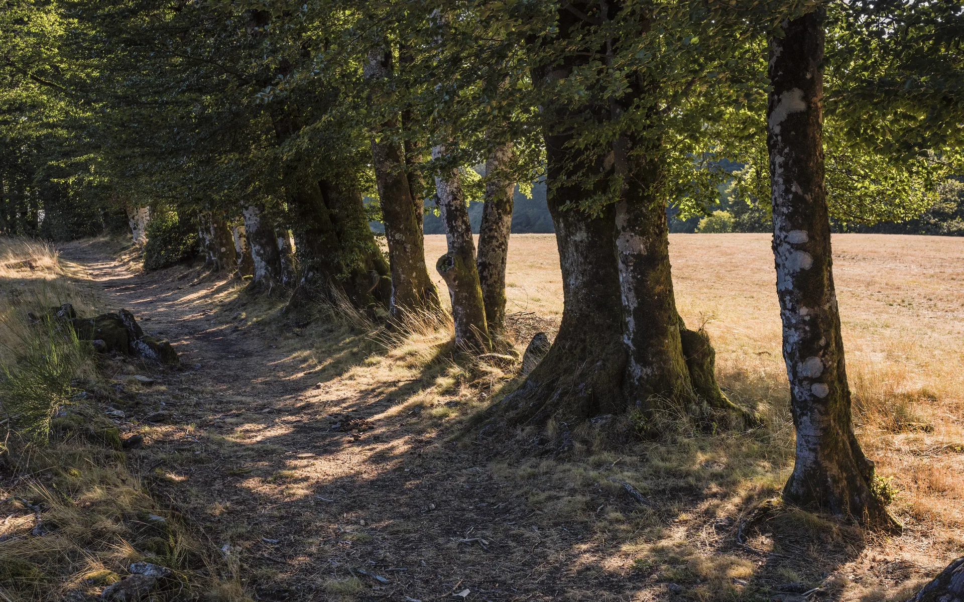 Lac de Vesole à Prémian — À 1,1 km du lac