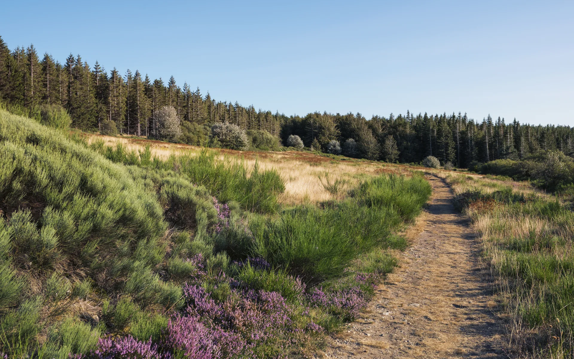 Lac de Vesole à Prémian — À 256 m du lac