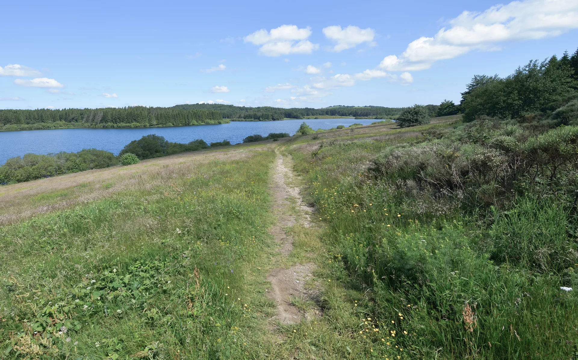 Lac de Vesole à Prémian — À 264 m du lac