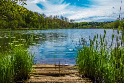 lac de Viremont