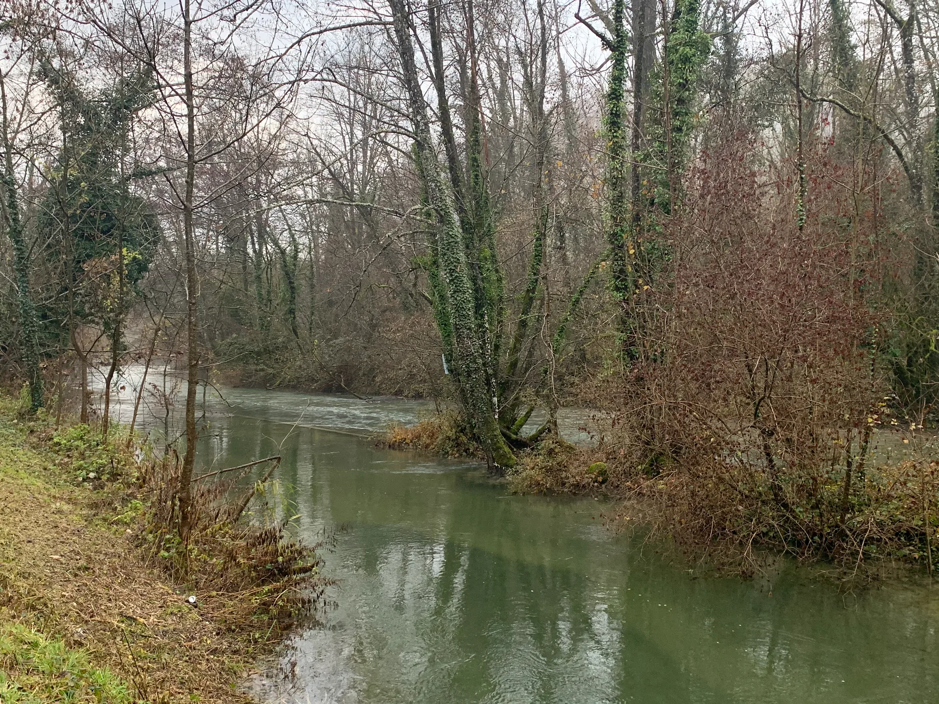 Lac de Virieu à Virieu-le-Grand — À 1,5 km du lac