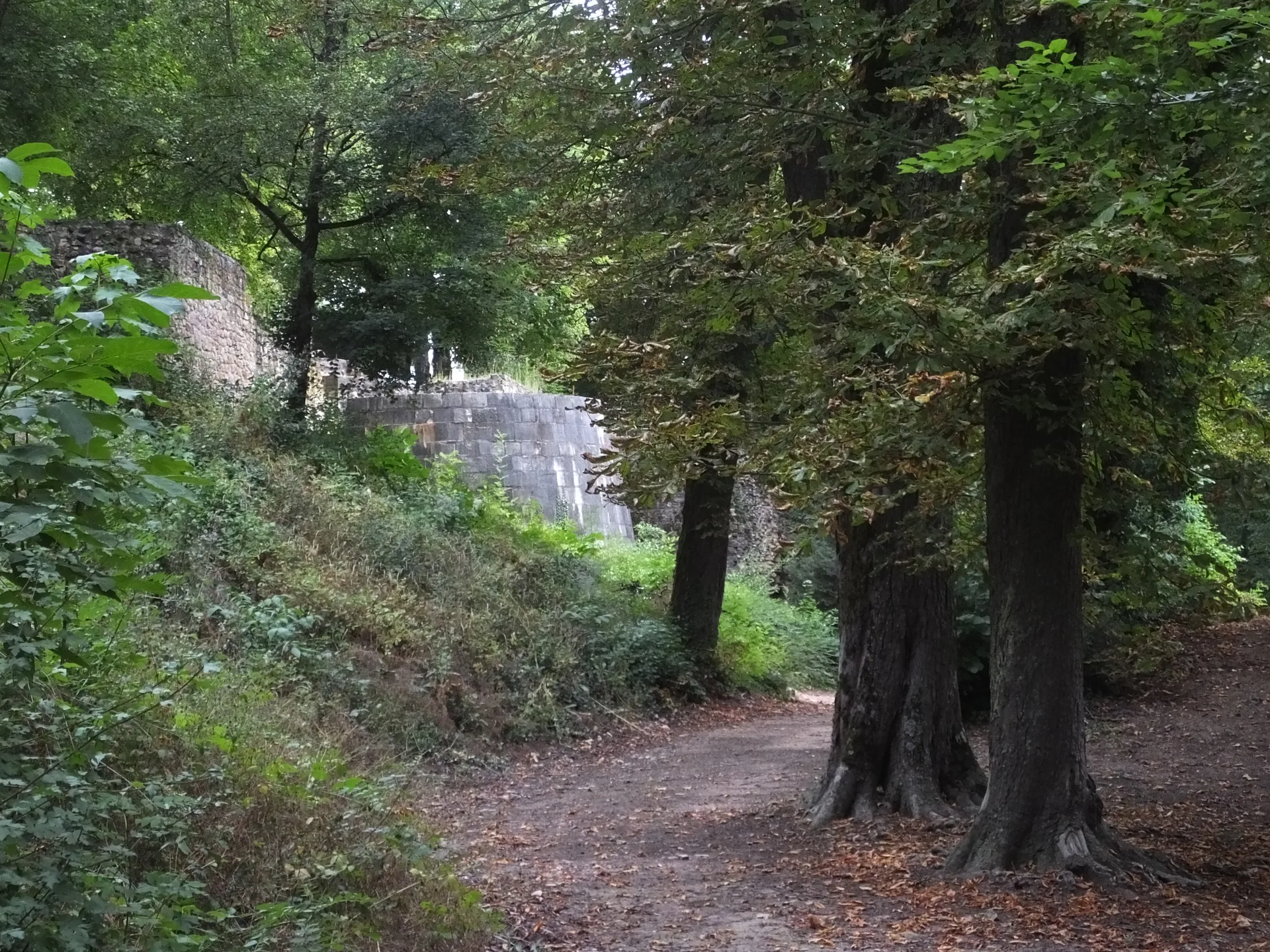 Lac de Virlay à Saint-Amand-Montrond — À 1,5 km du lac