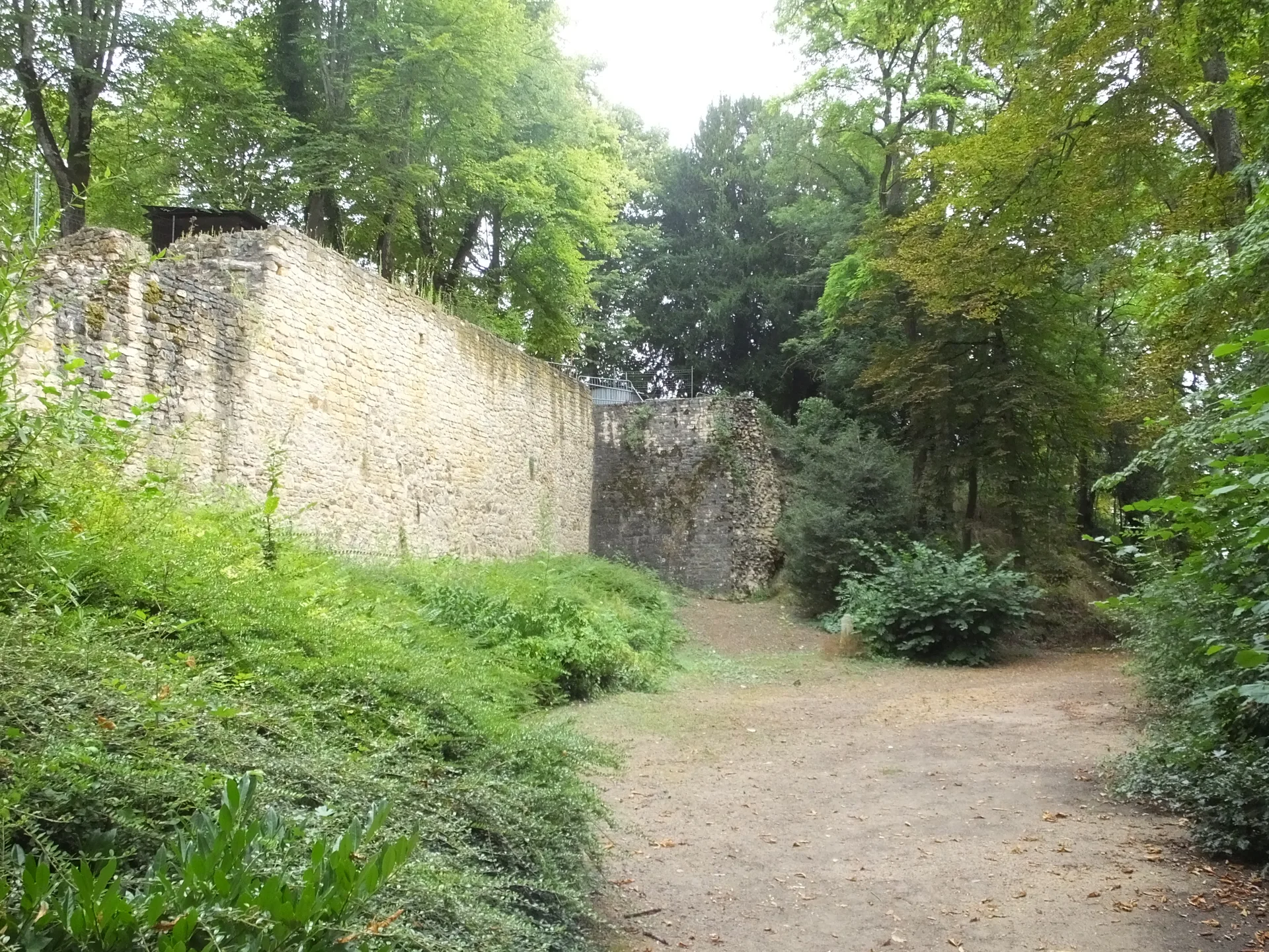 Lac de Virlay à Saint-Amand-Montrond — À 1,6 km du lac