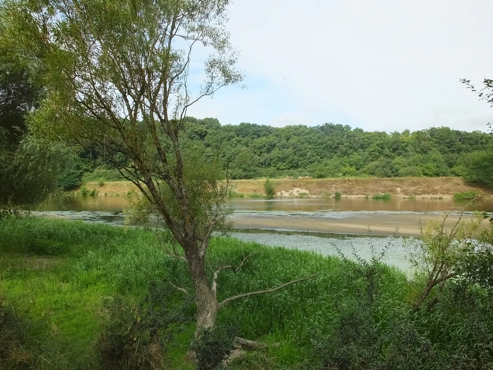 Lac de Virlay à Saint-Amand-Montrond — À 1,8 km du lac