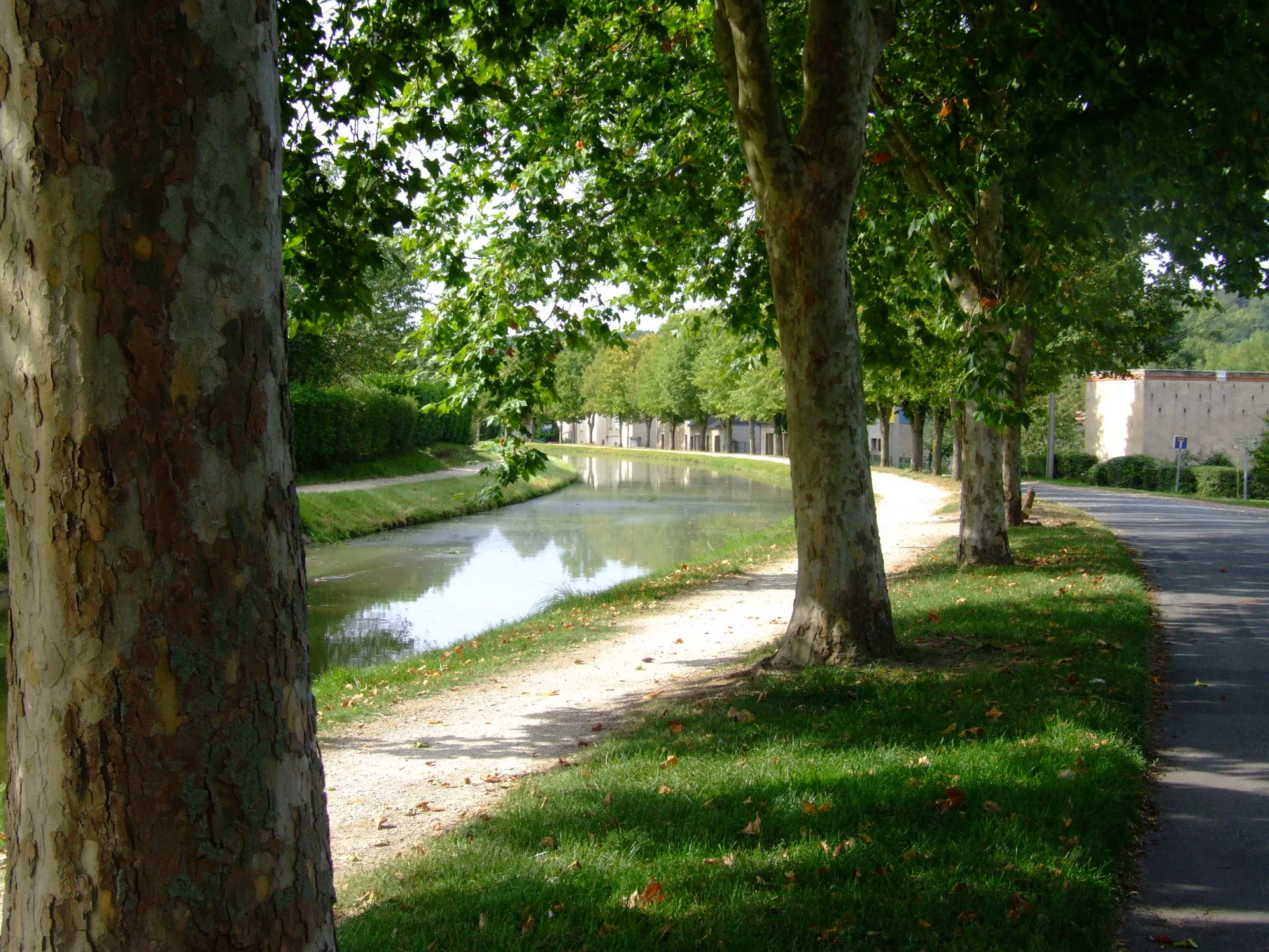 Lac de Virlay à Saint-Amand-Montrond — À 1,9 km du lac