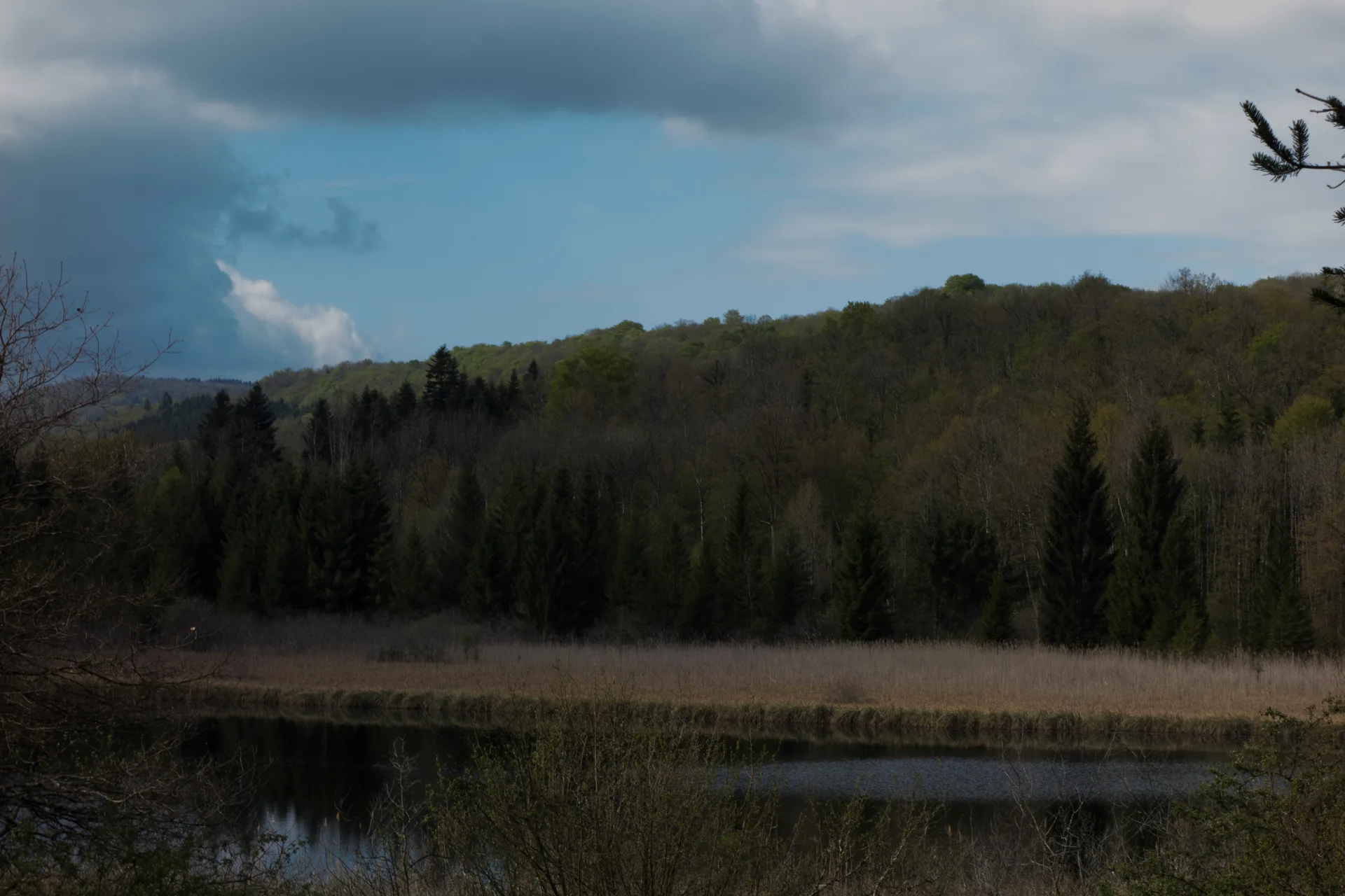 Lac de Vouglans a Onoz à Orgelet — À 1,7 km du lac