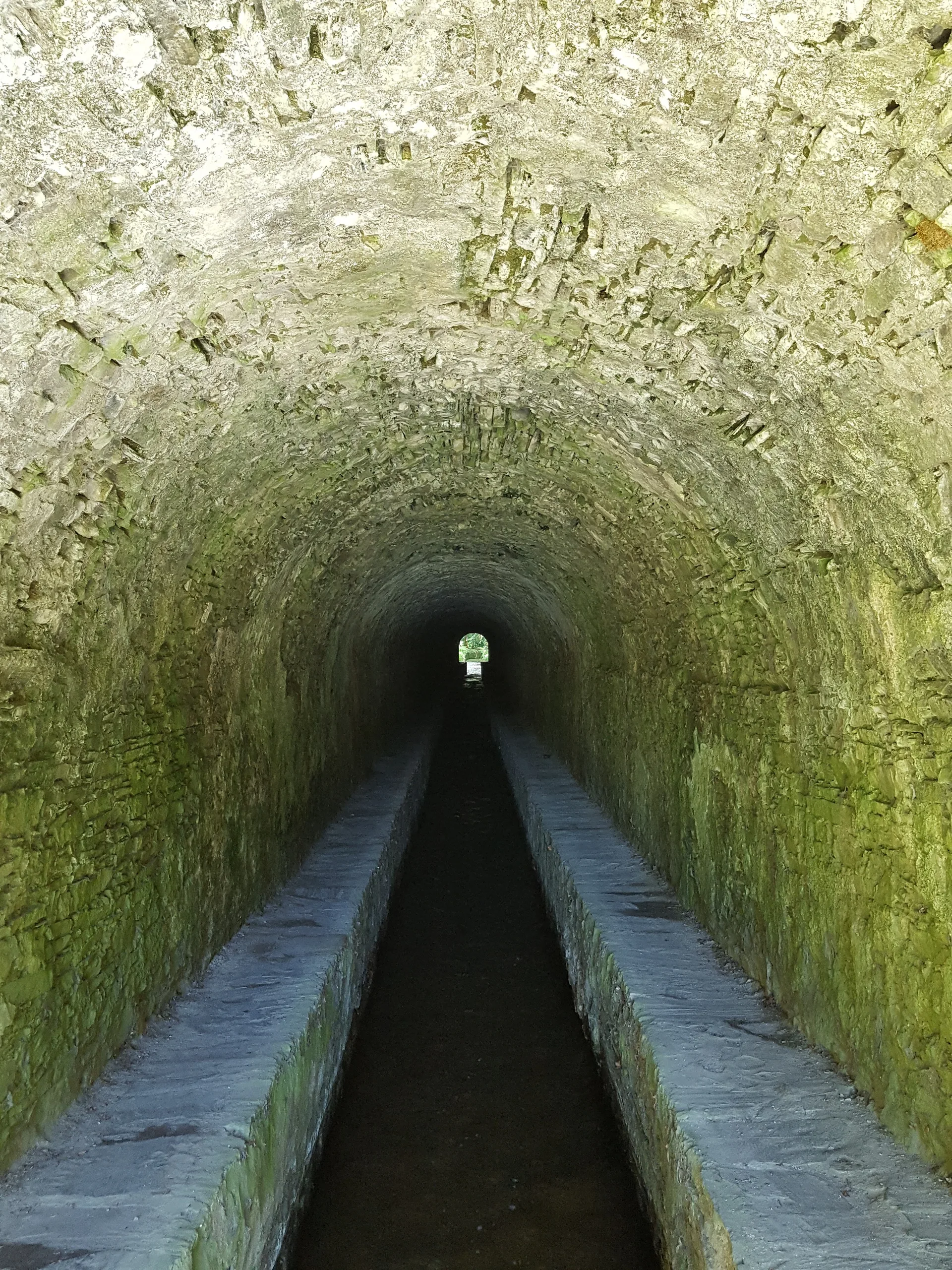 Lac des Cammazes à Les Cammazes — À 1,3 km du lac