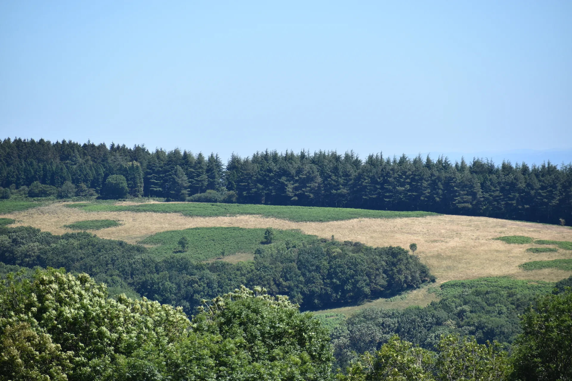 Lac des Cammazes à Les Cammazes — À 2,5 km du lac
