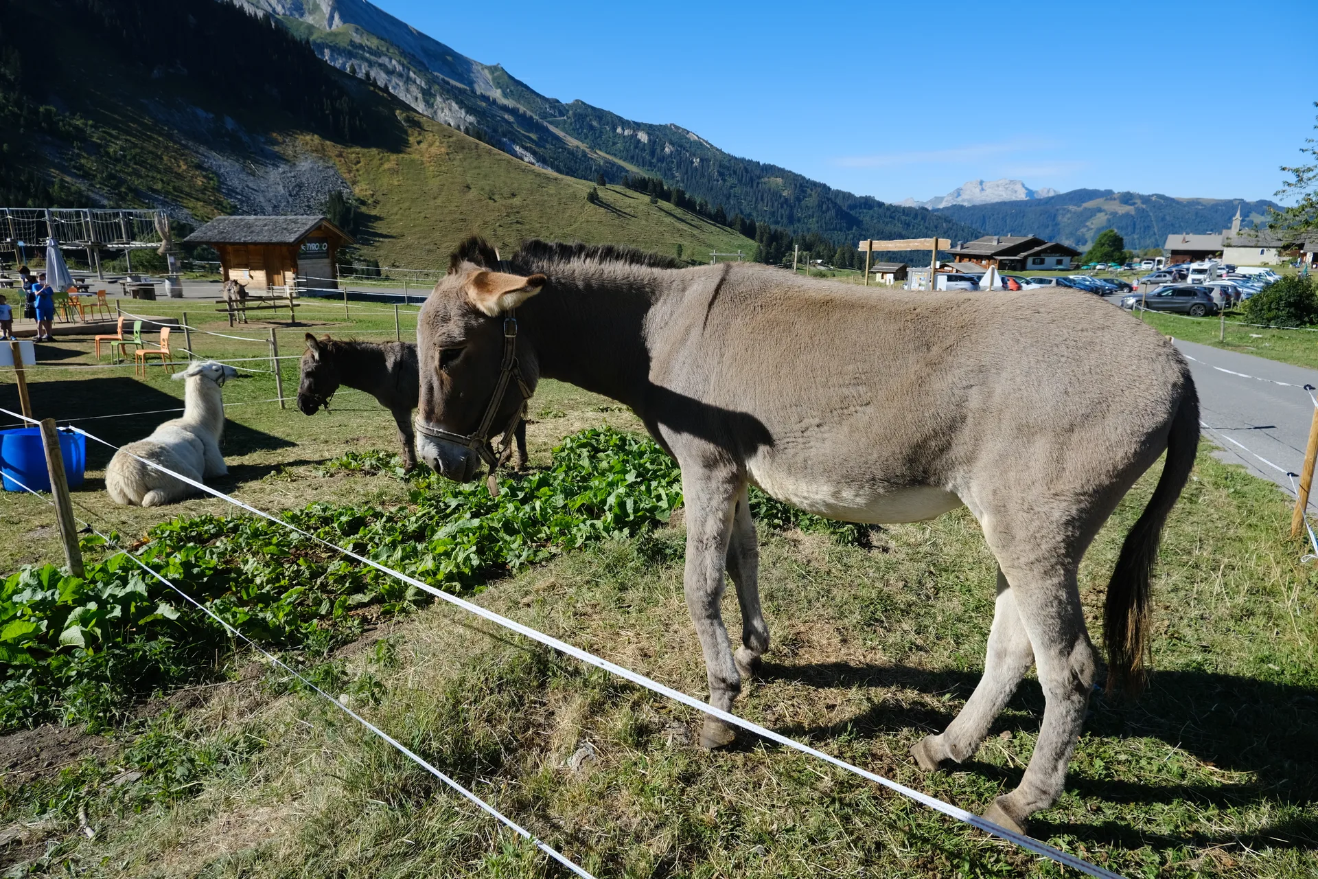 Lac des Confins à La Clusaz — À 656 m du lac