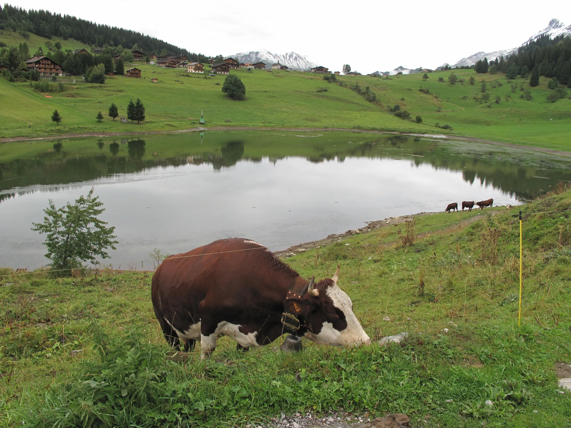 Lac des Confins à La Clusaz — Sur le lac