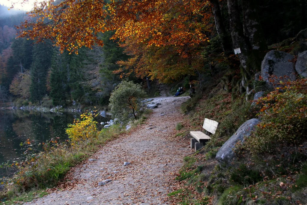 Lac des Corbeaux, La Bresse