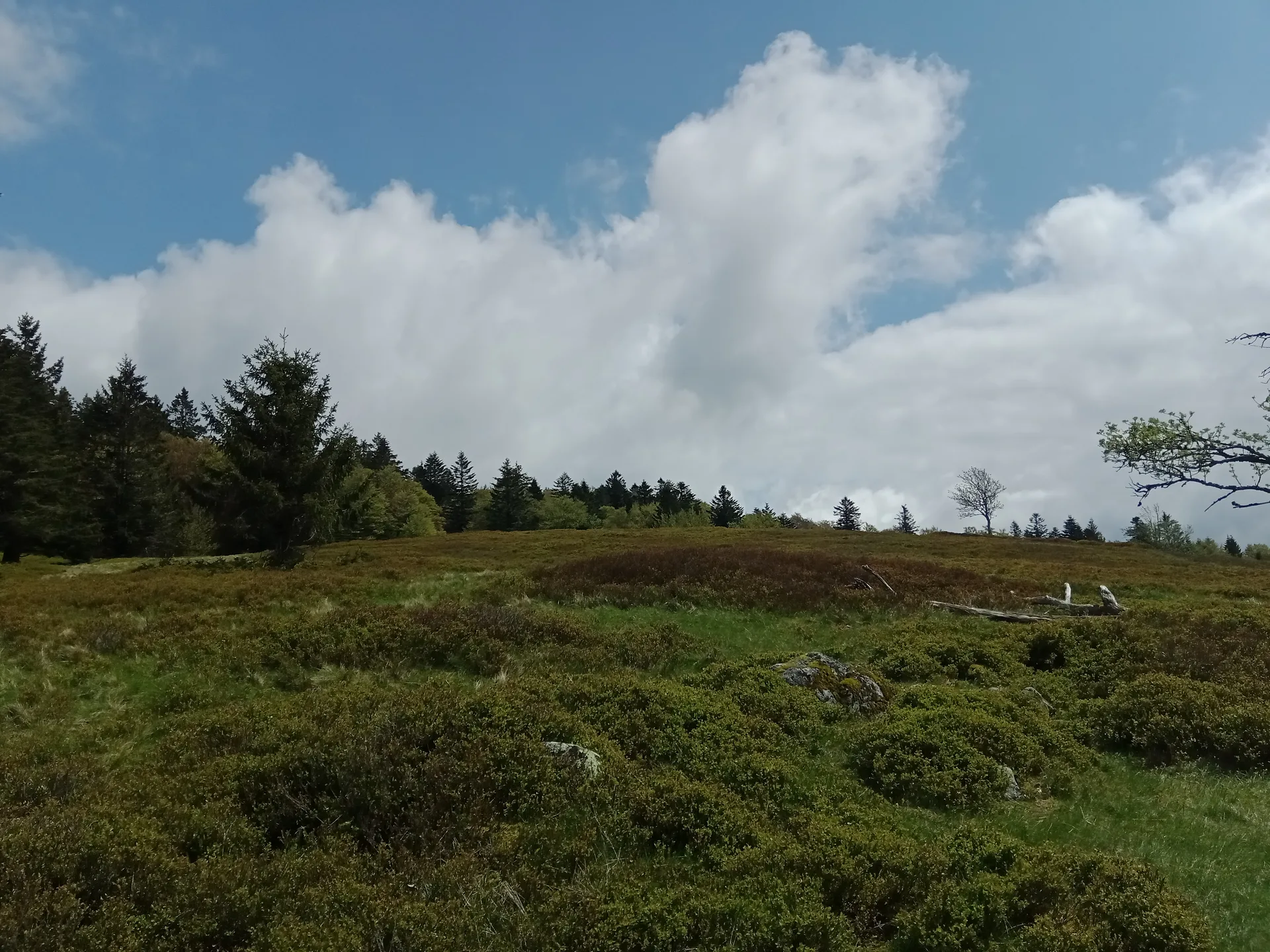 Lac des Corbeaux à La Bresse — À 2,4 km du lac