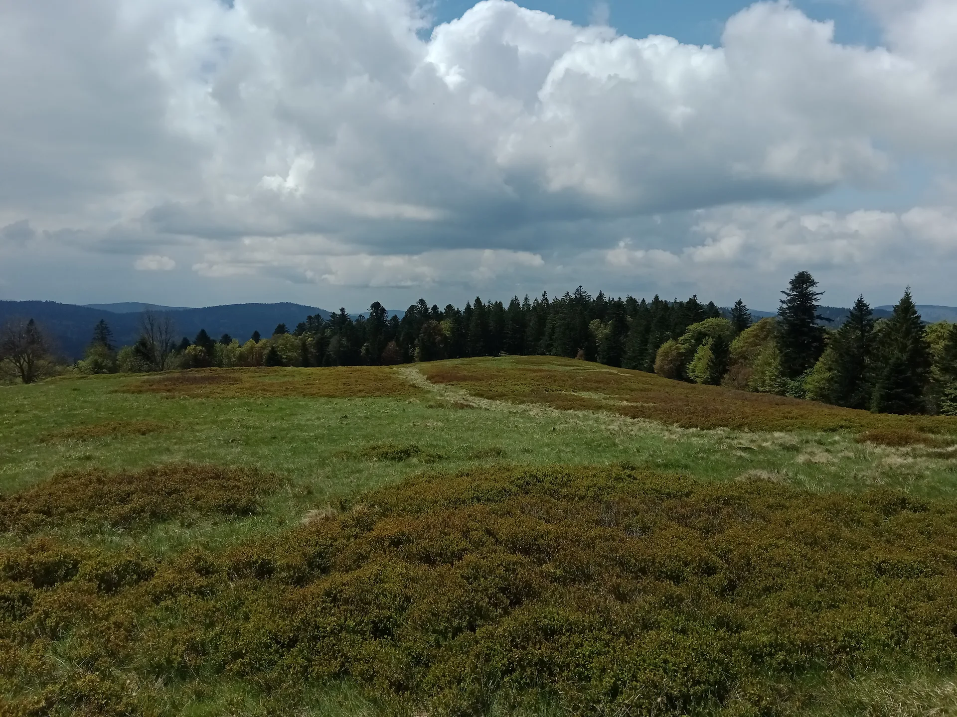 Lac des Corbeaux à La Bresse — À 2,4 km du lac