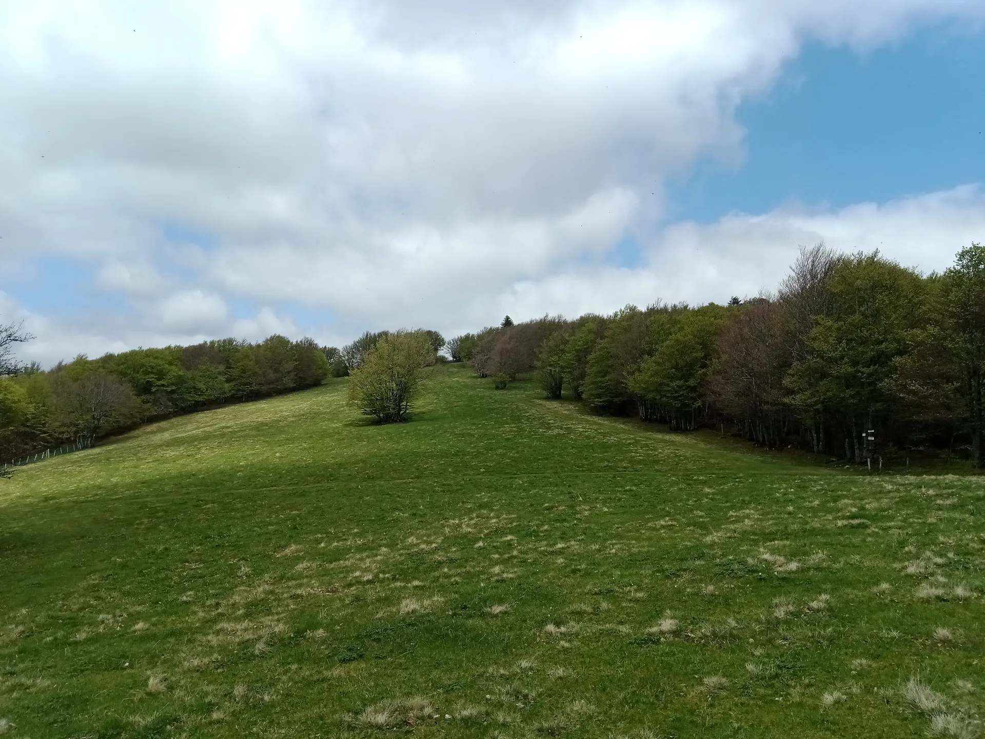 Lac des Corbeaux à La Bresse — À 2,5 km du lac