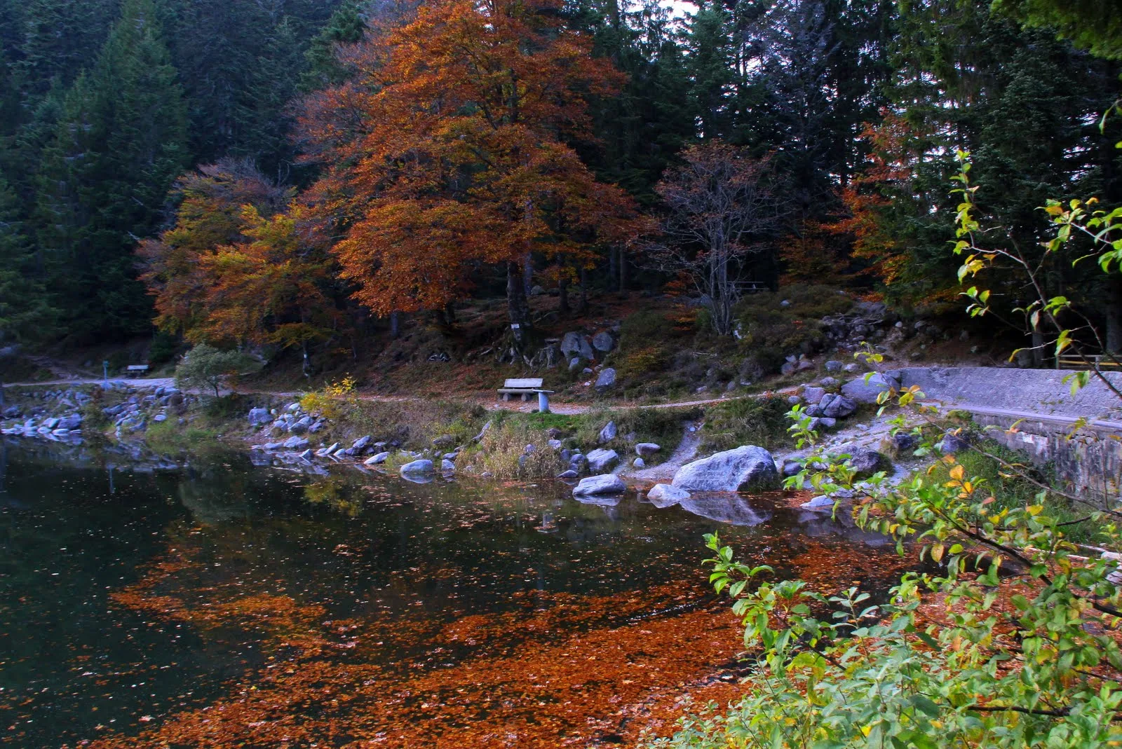 Lac des Corbeaux à La Bresse — Sur le lac