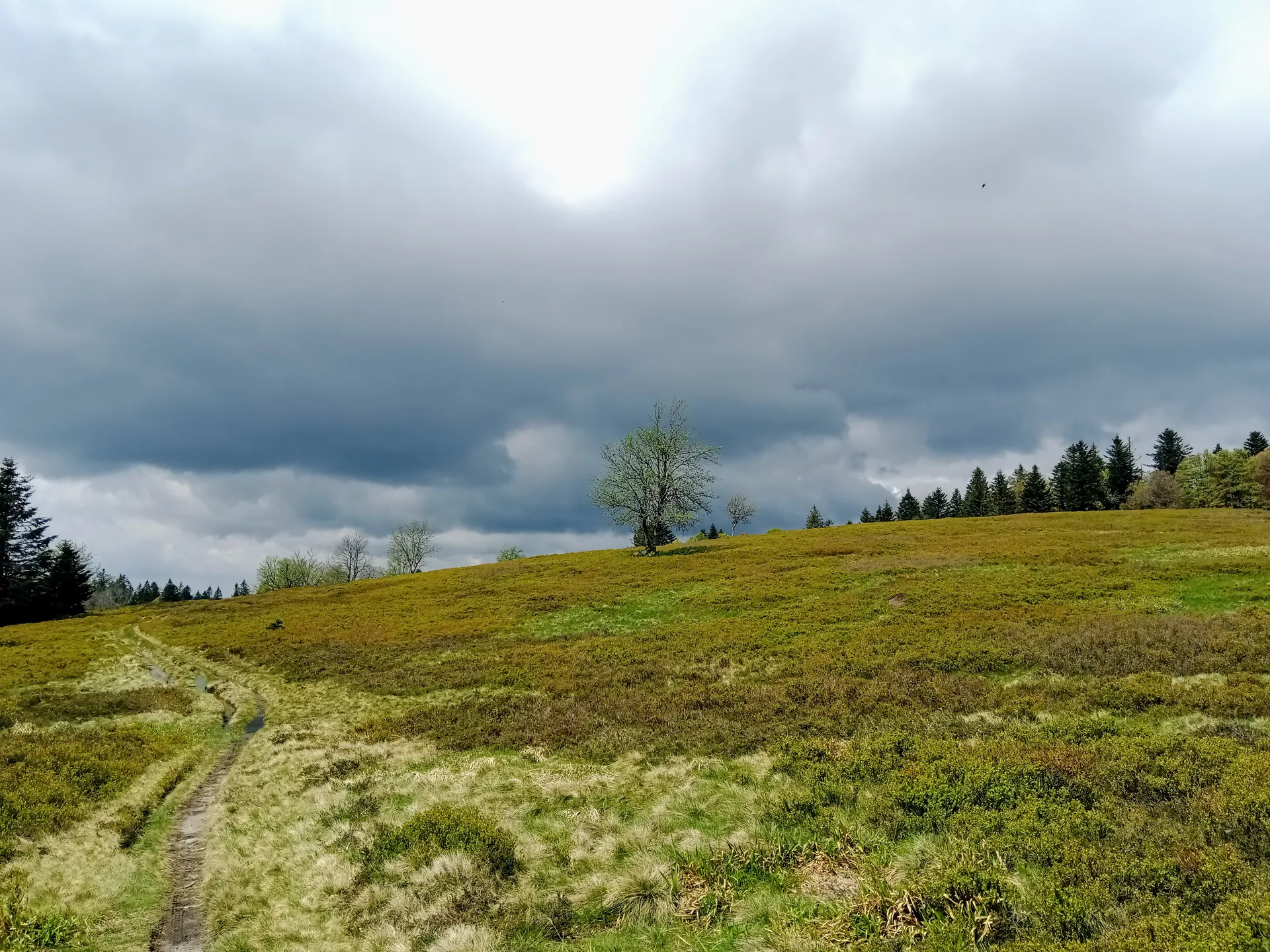 Lac des Corbeaux à La Bresse — À 2,6 km du lac