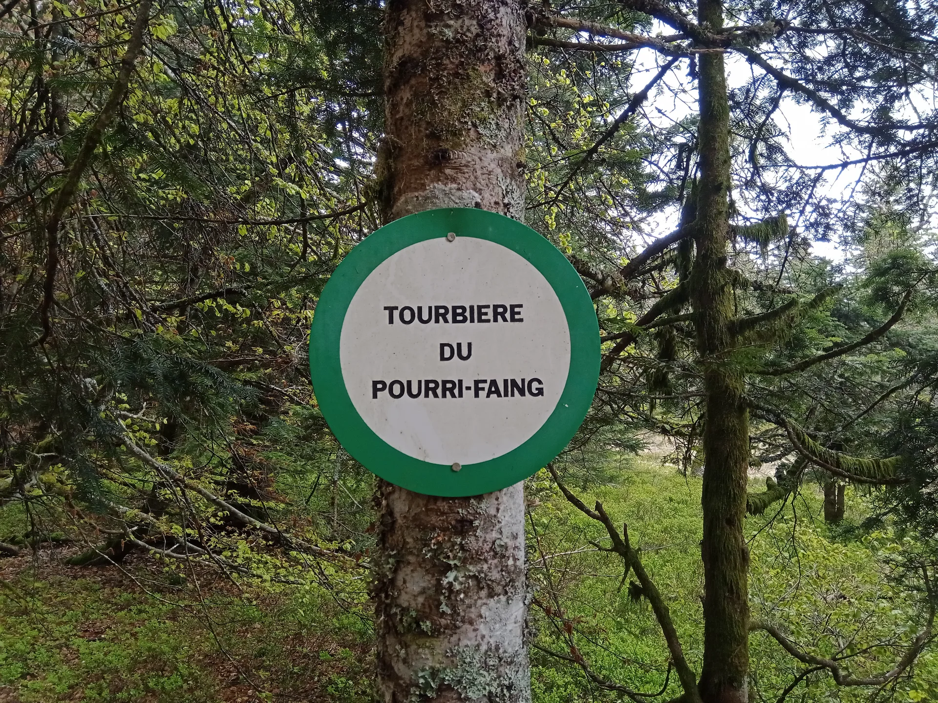 Lac des Corbeaux à La Bresse — À 2,9 km du lac