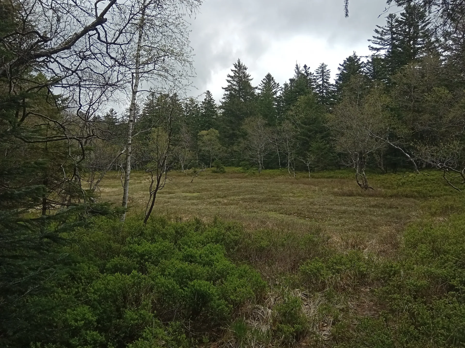 Lac des Corbeaux à La Bresse — À 3,0 km du lac