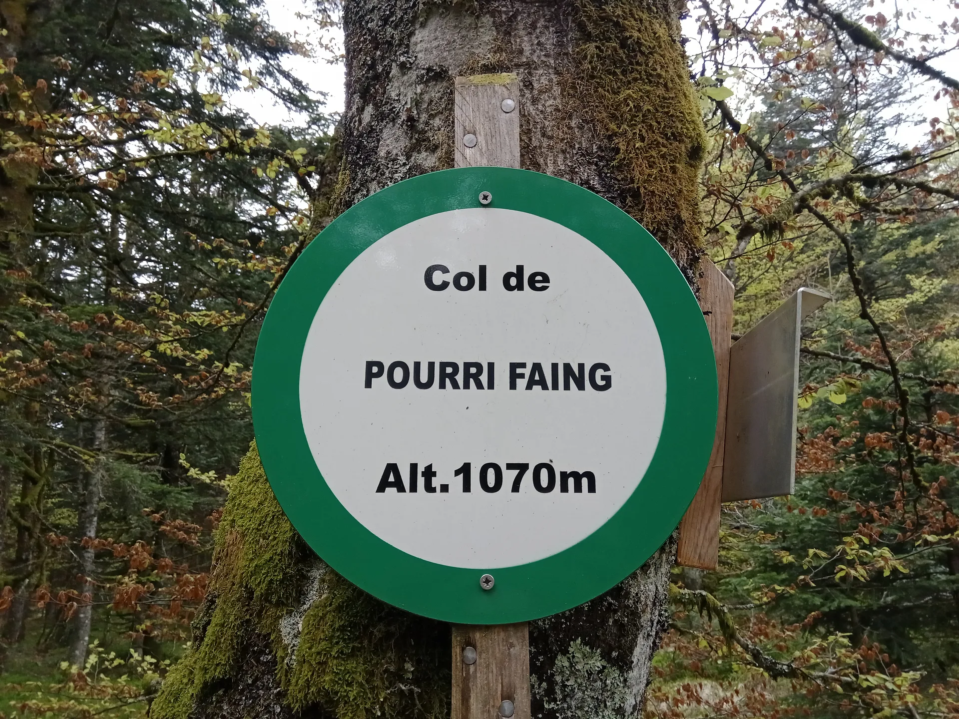 Lac des Corbeaux à La Bresse — À 3,0 km du lac