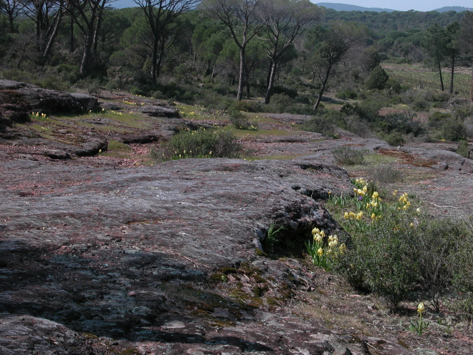 Lac des Escarcets à Le Cannet-des-Maures — À 3,1 km du lac