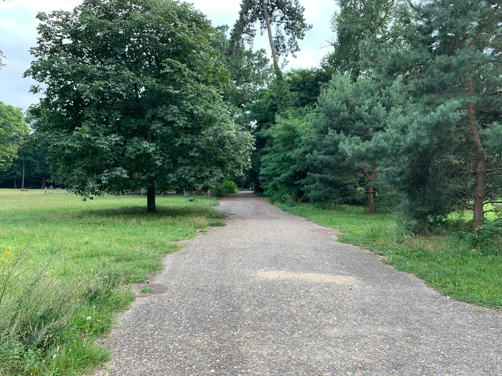 Lac des Minimes à Paris — Sur le lac