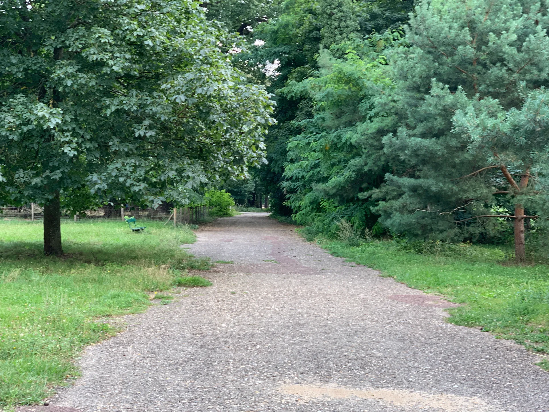 Lac des Minimes à Paris — Sur le lac
