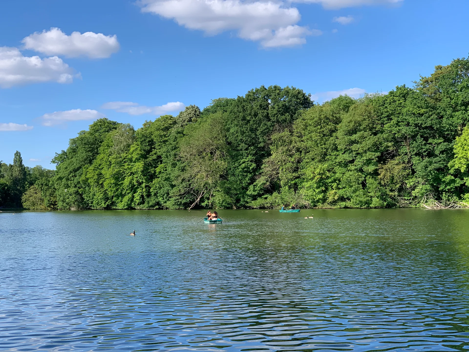 Lac des Minimes à Paris — Sur le lac