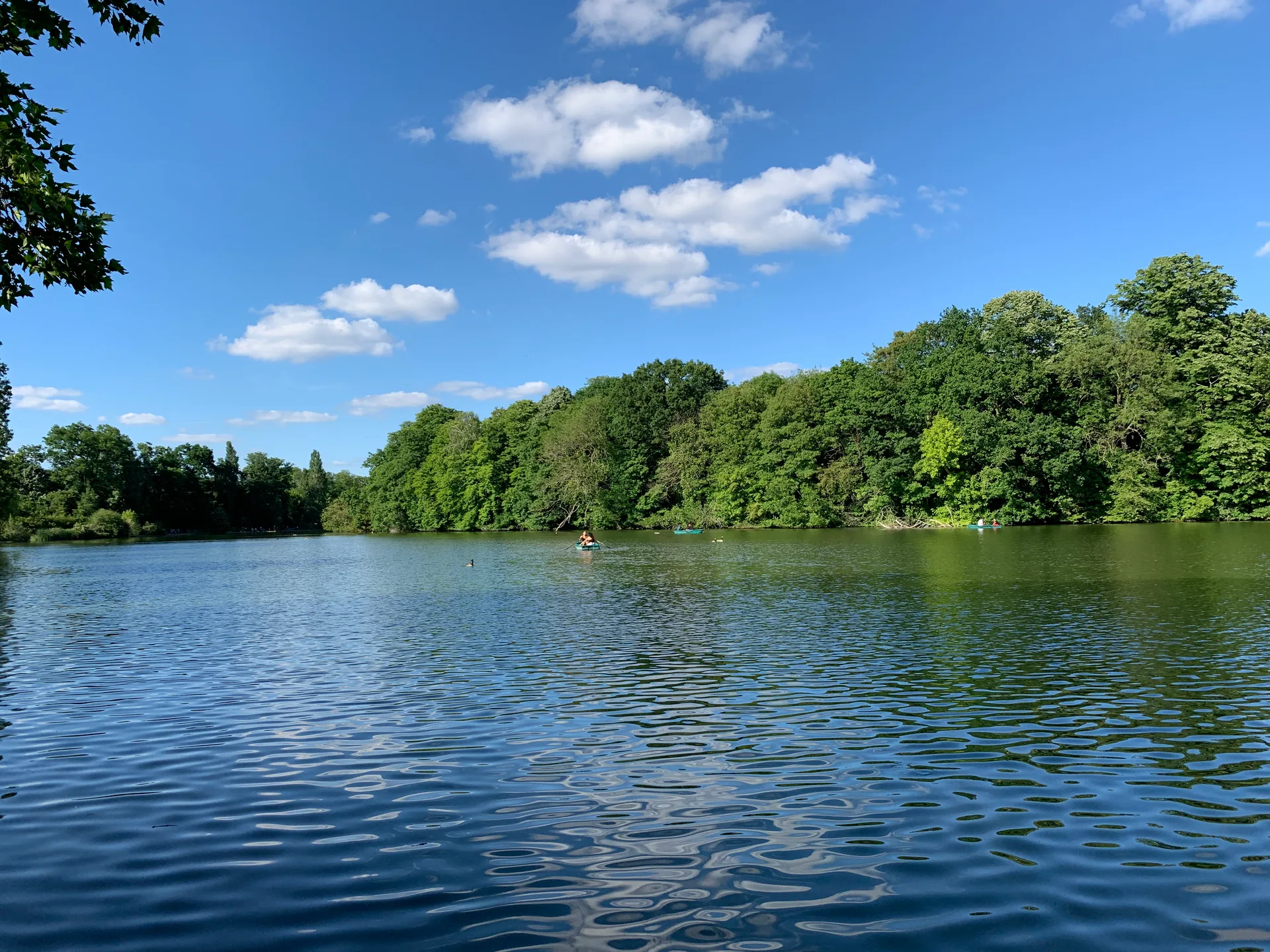 Lac des Minimes à Paris — Sur le lac