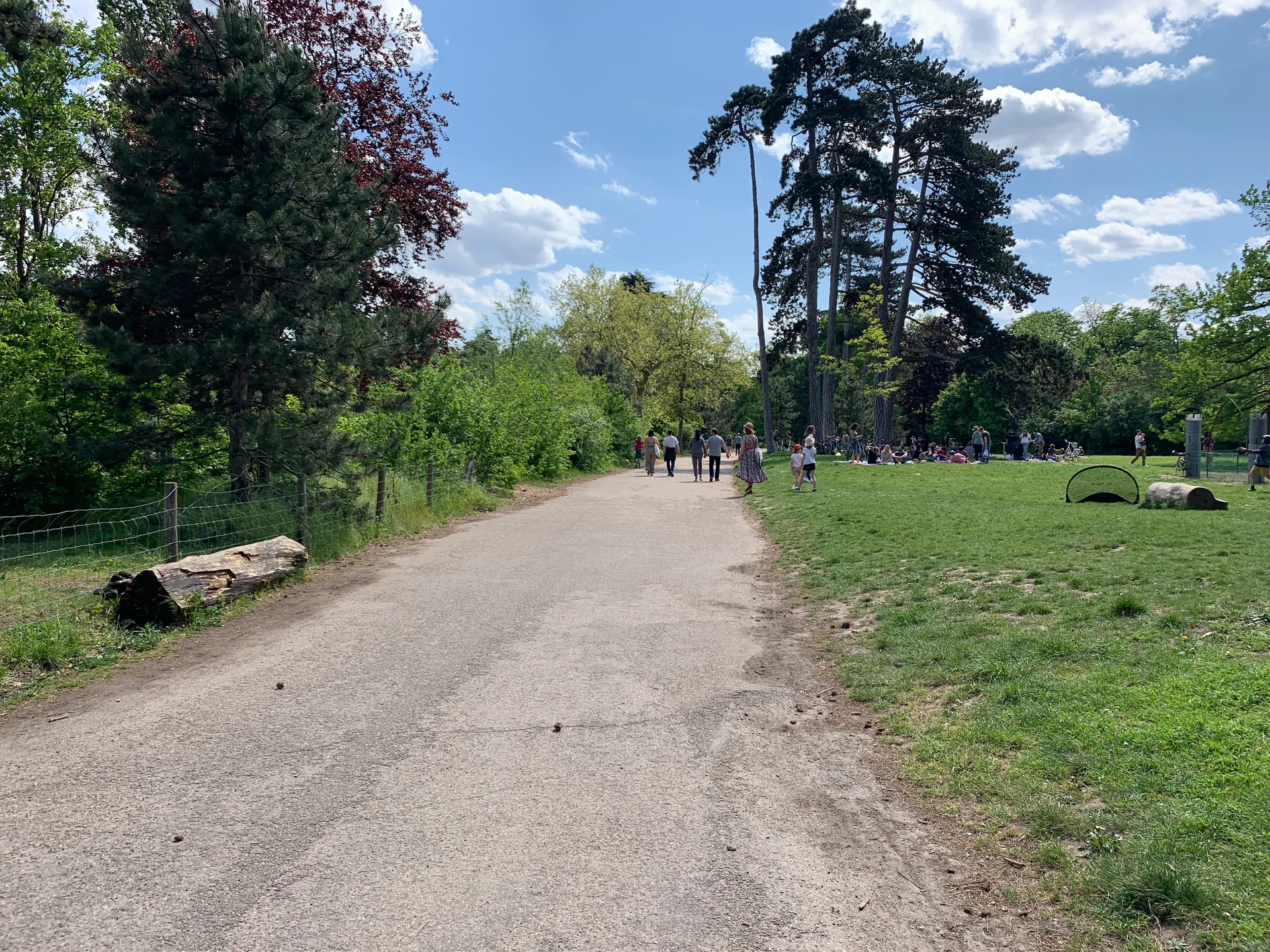 Lac des Minimes à Paris — Sur le lac
