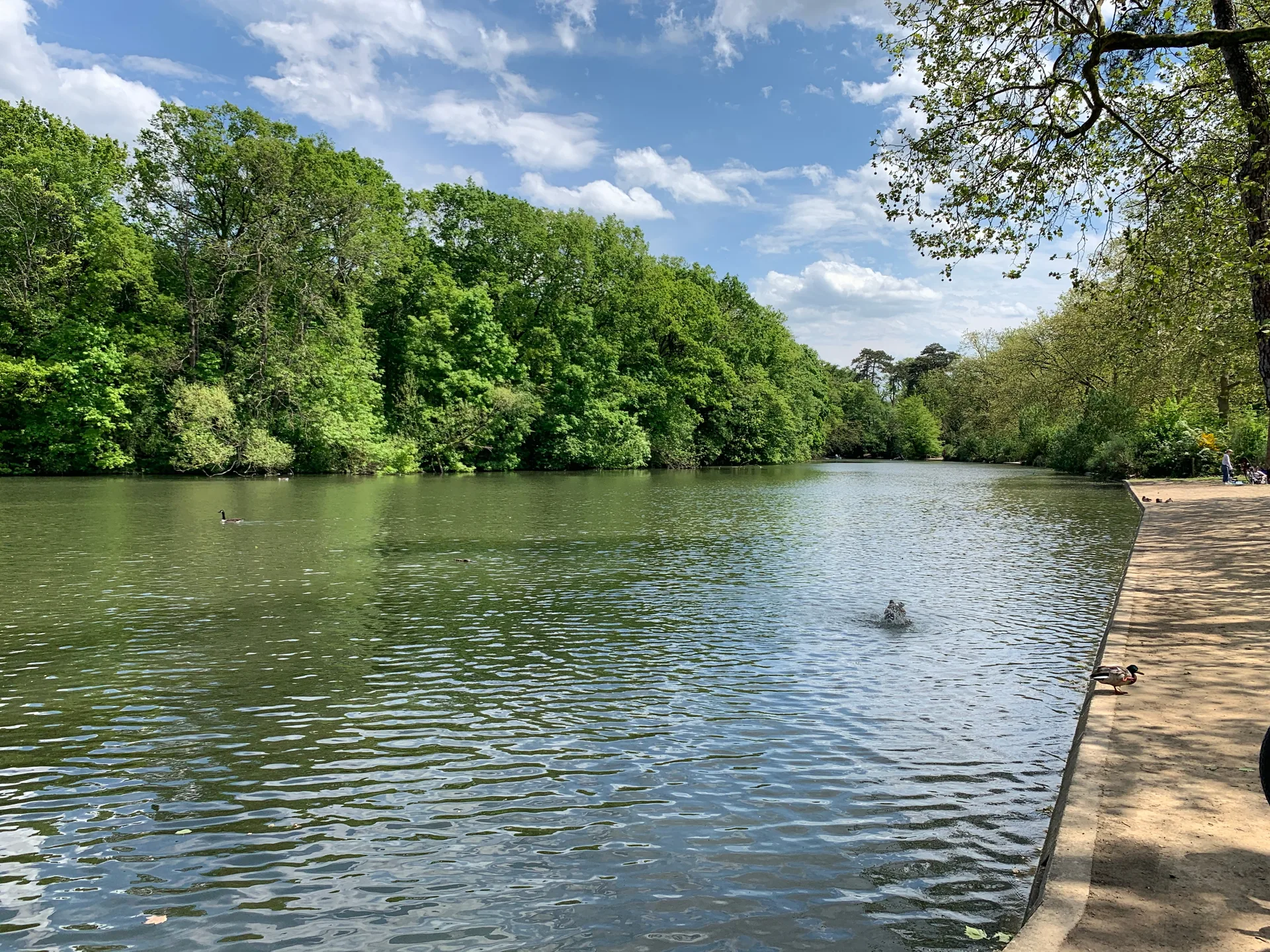 Lac des Minimes à Paris — Sur le lac