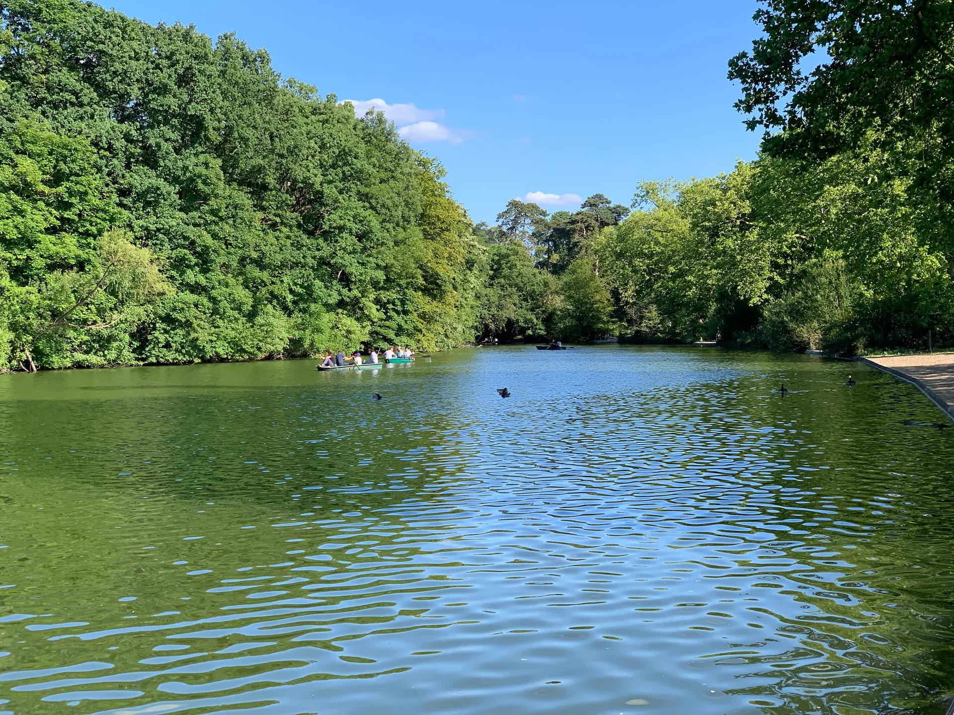 Lac des Minimes à Paris — Sur le lac