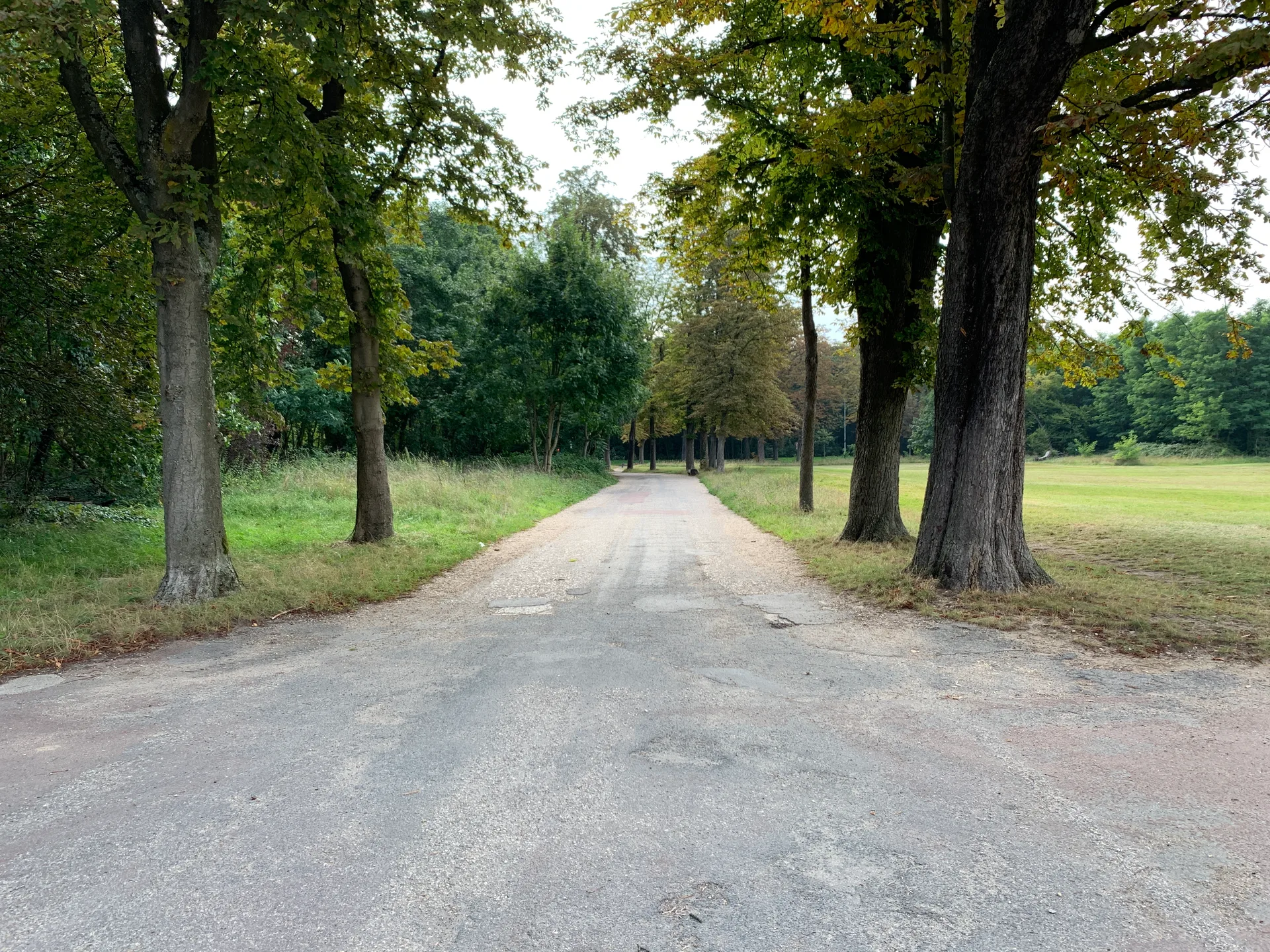 Lac des Minimes à Paris — Sur le lac