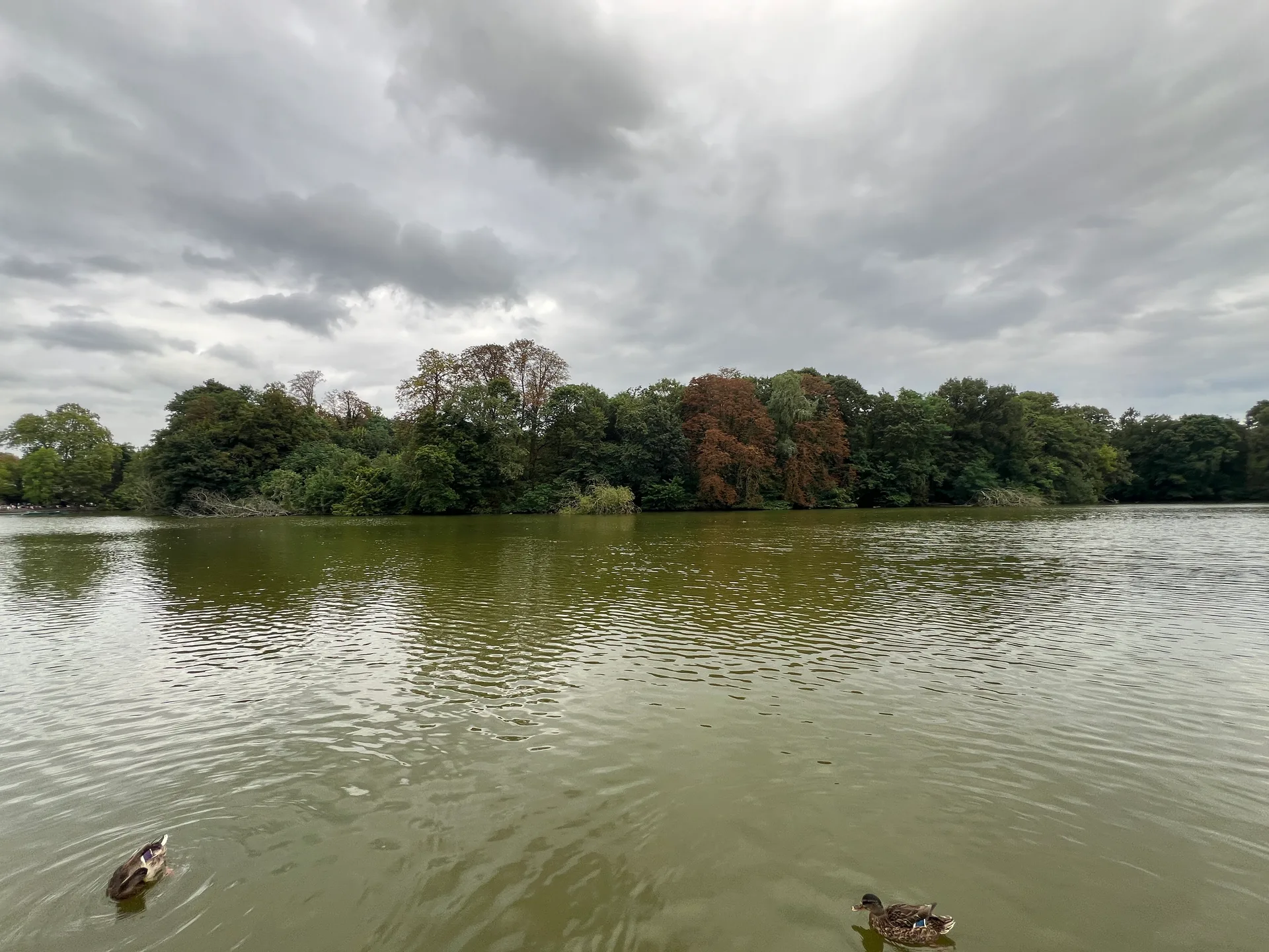 Lac des Minimes à Paris — Sur le lac