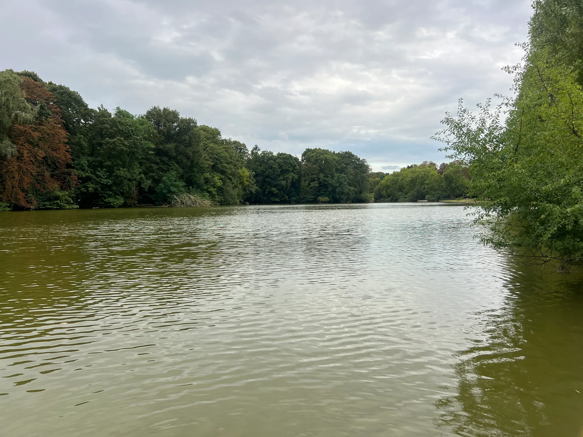Lac des Minimes à Paris — Sur le lac