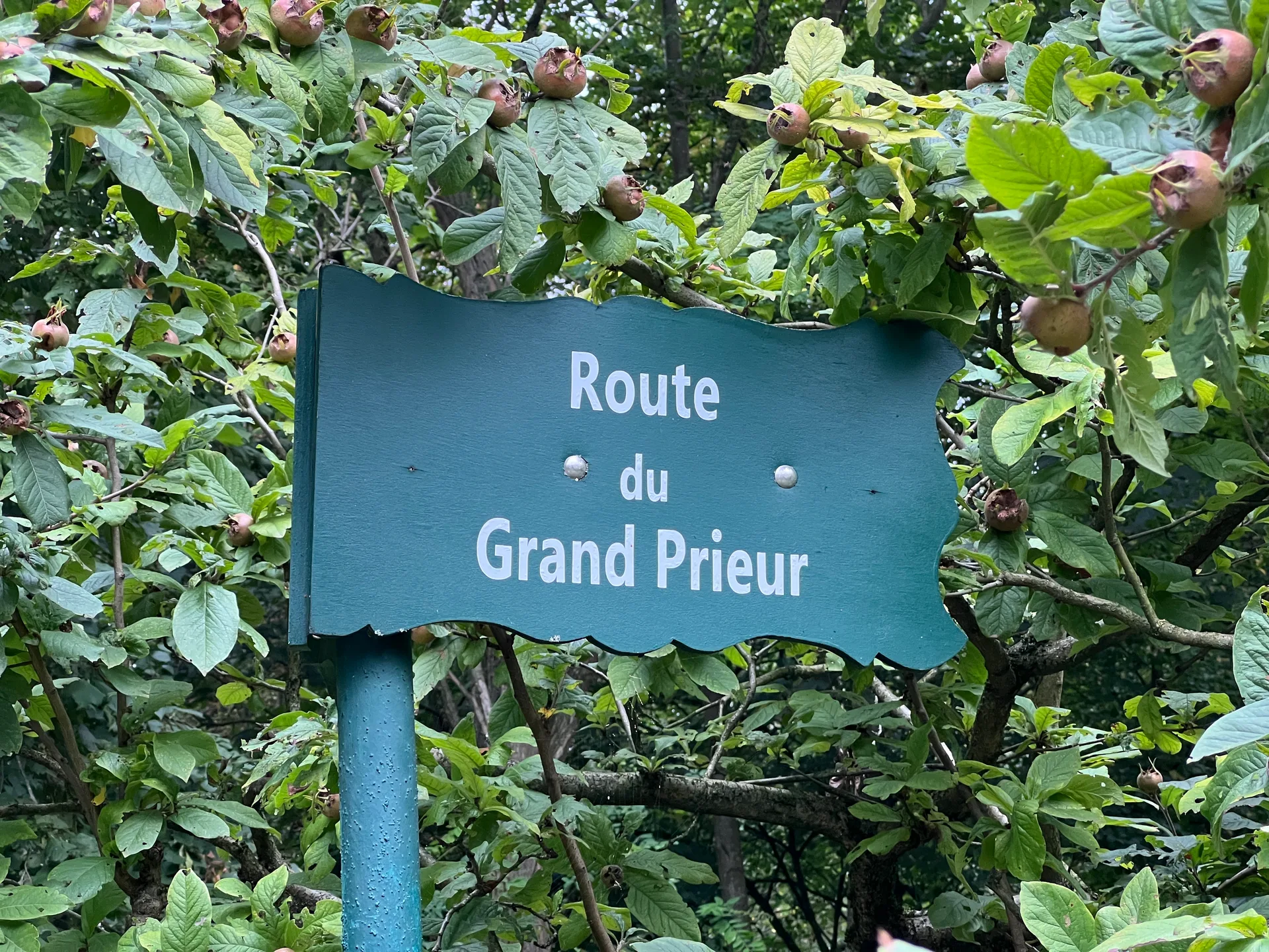 Lac des Minimes à Paris — Sur le lac