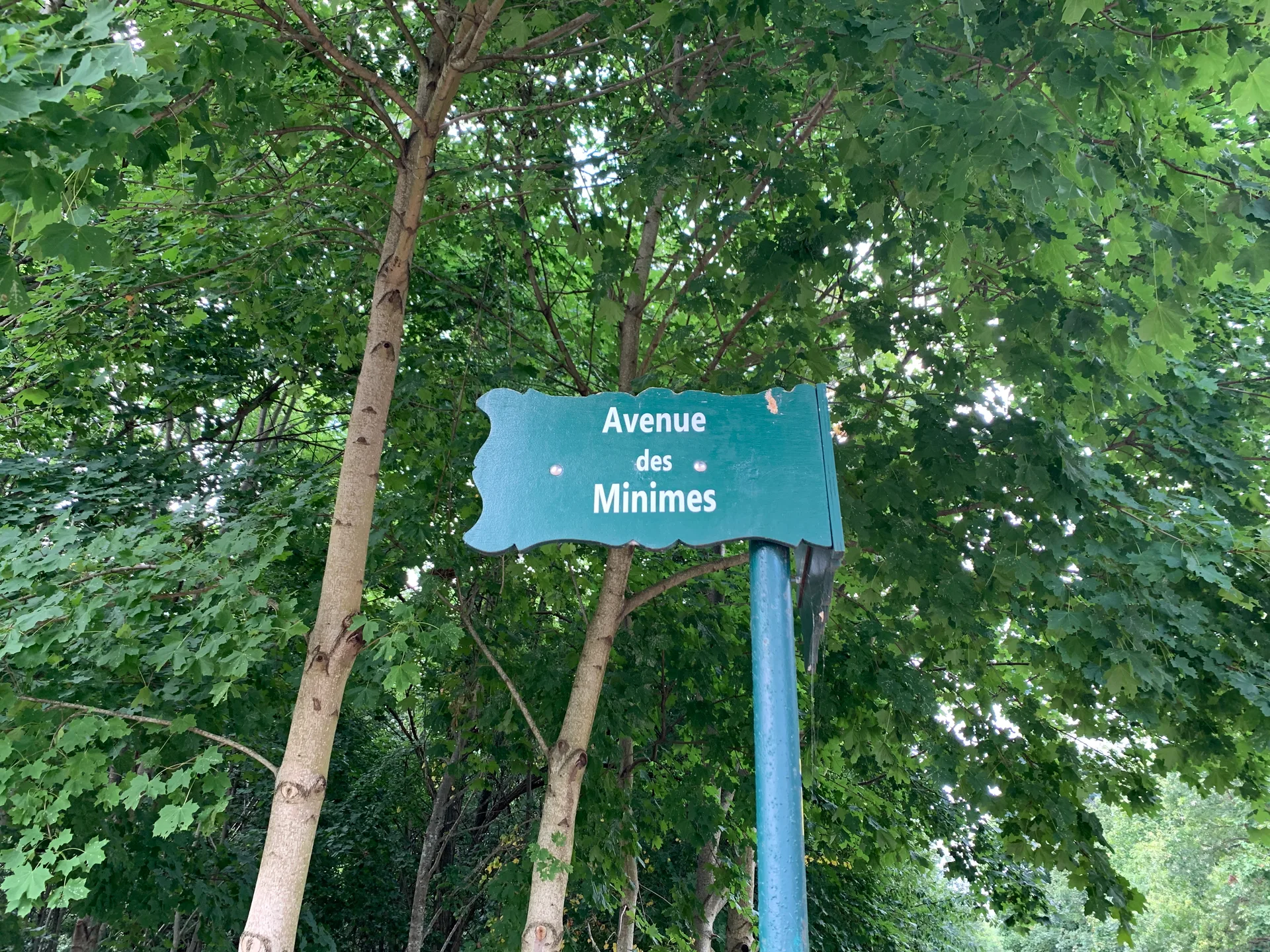 Lac des Minimes à Paris — Sur le lac