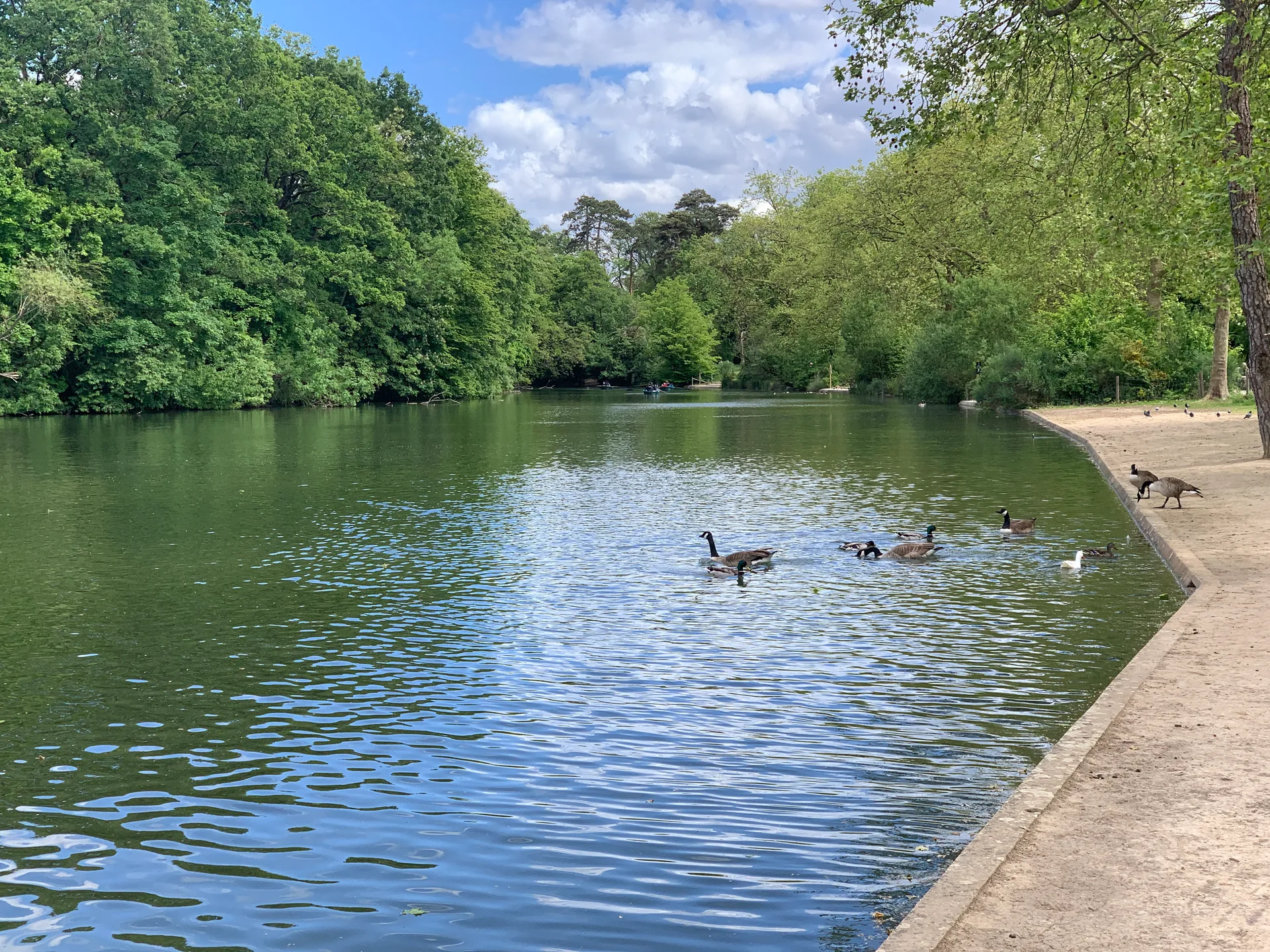 Lac des Minimes à Paris — Sur le lac