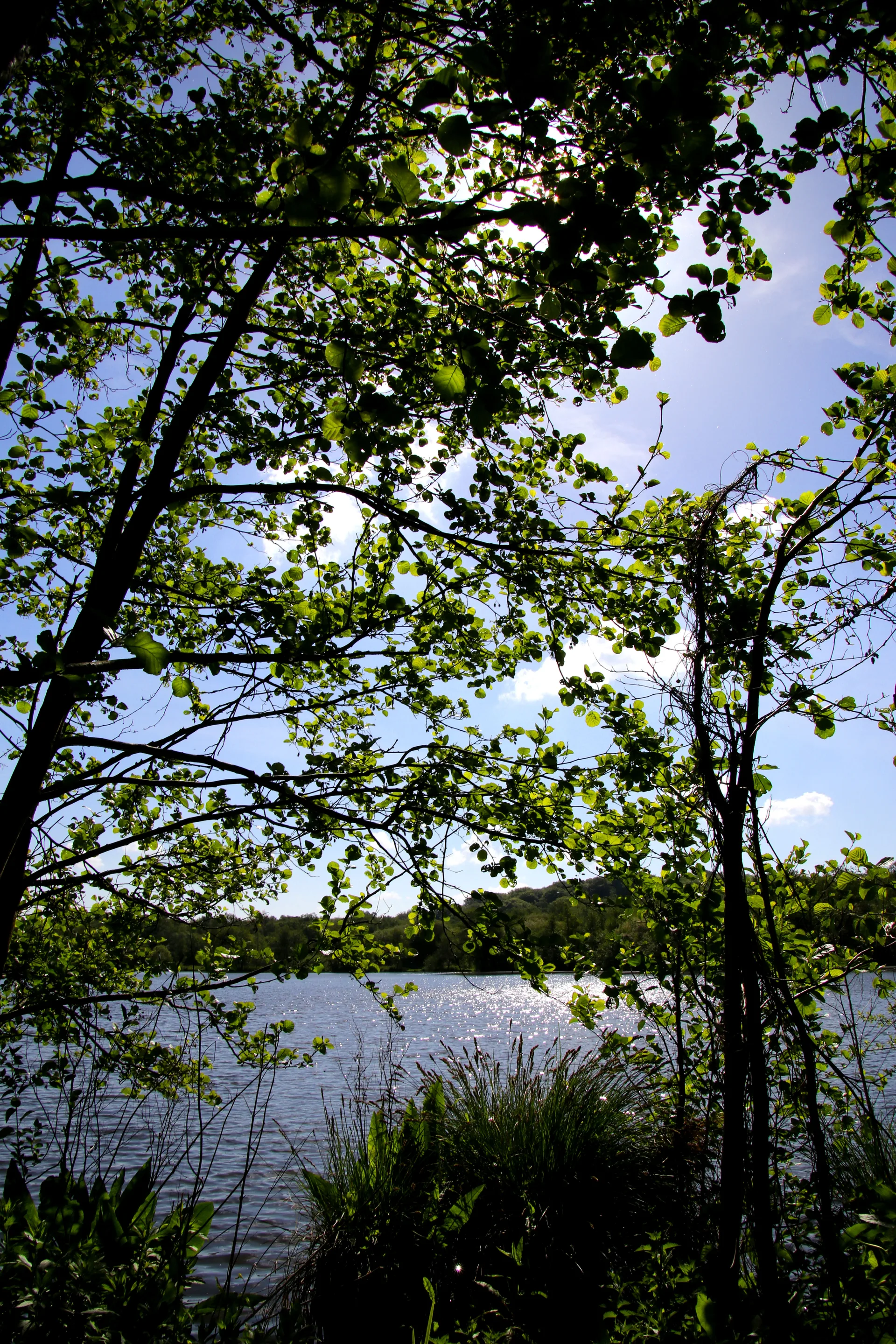 Lac des miroirs à Condette — Sur le lac