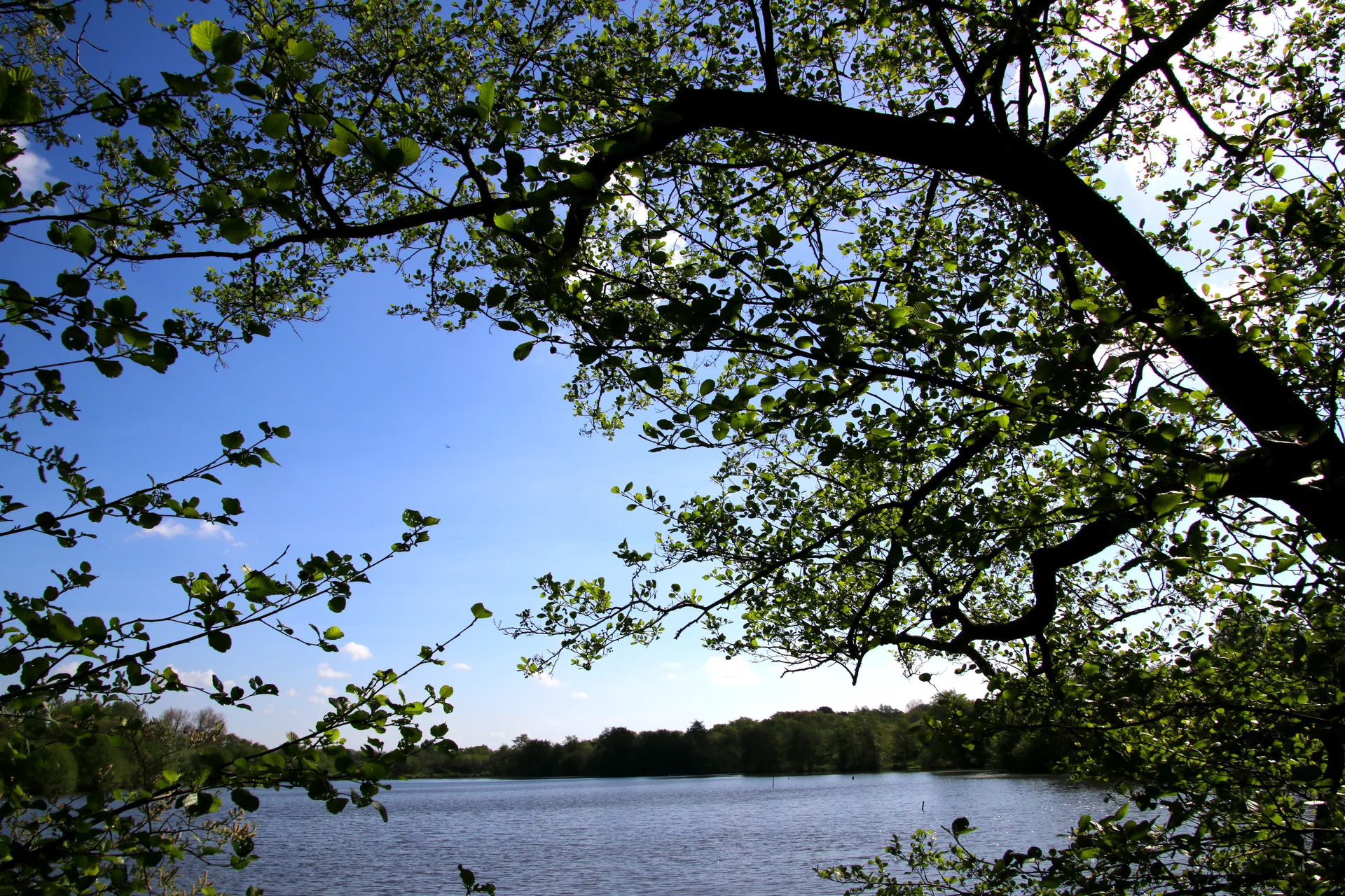 Lac des miroirs à Condette — Sur le lac