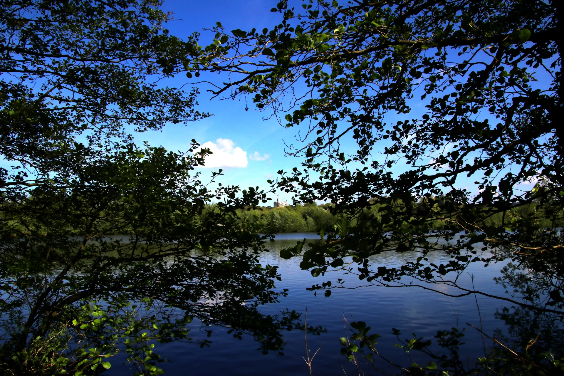 Lac des miroirs à Condette — Sur le lac