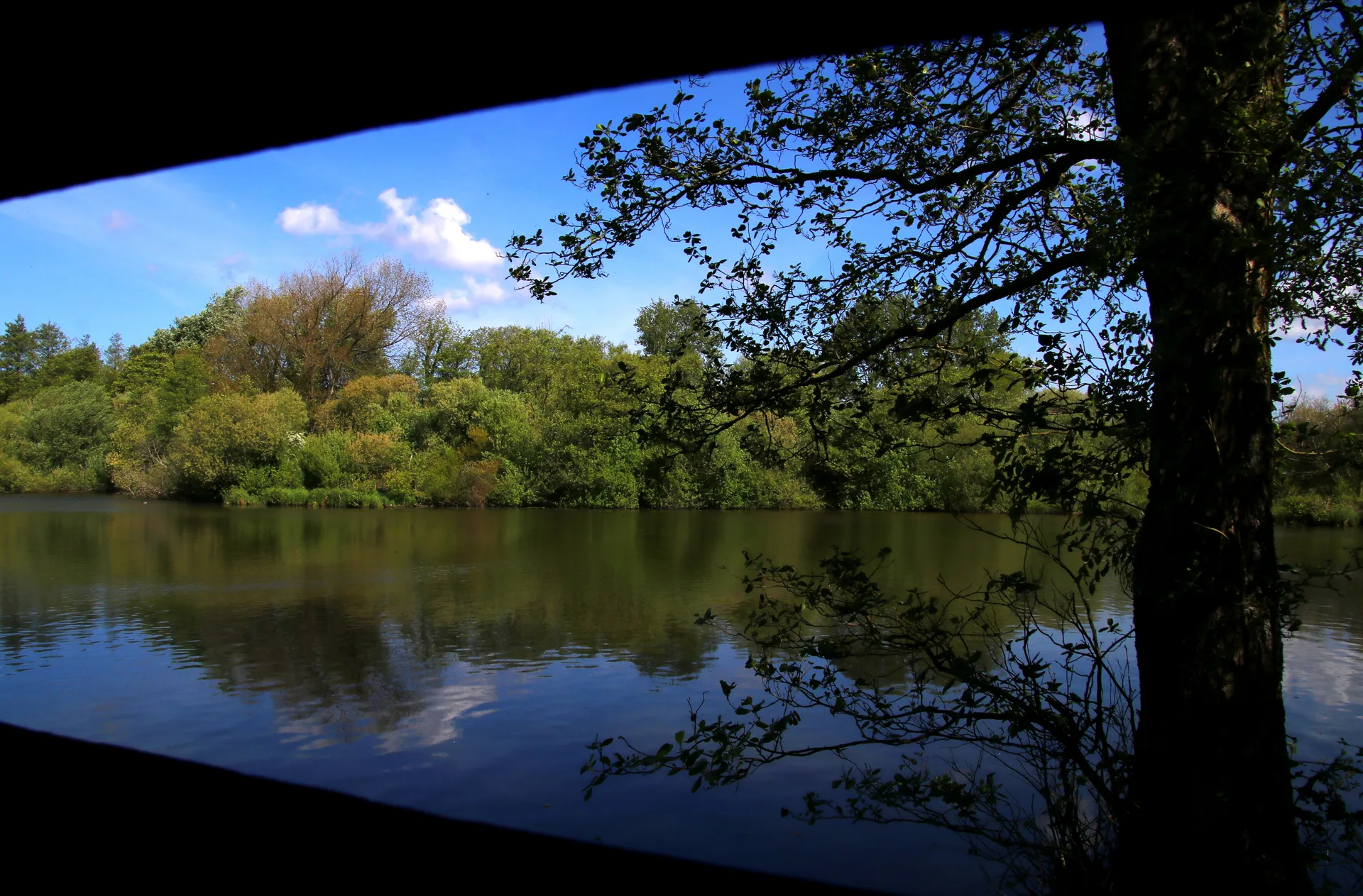 Lac des miroirs à Condette — Sur le lac