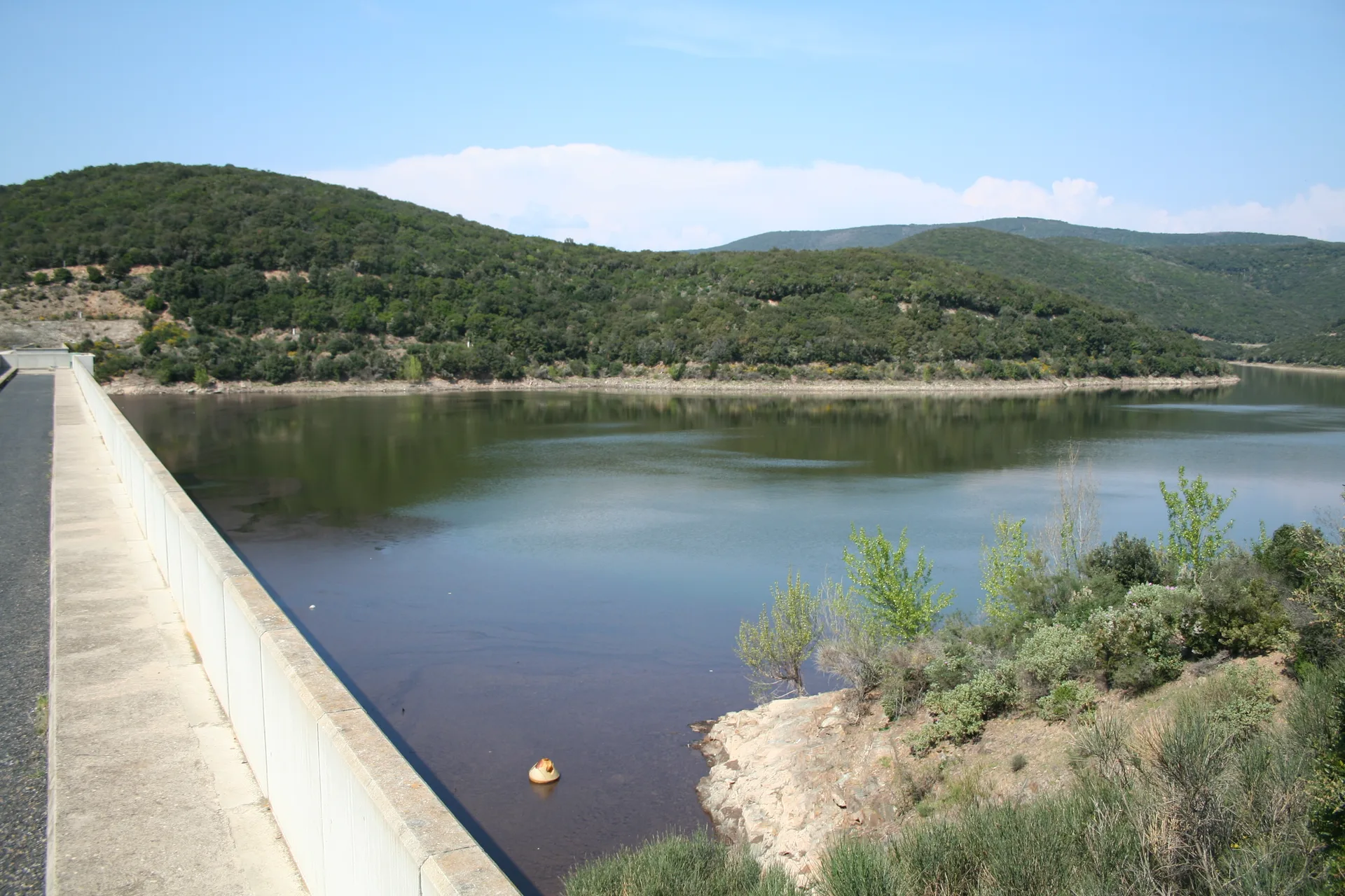 Lac des Olivettes à Vailhan — À 270 m du lac